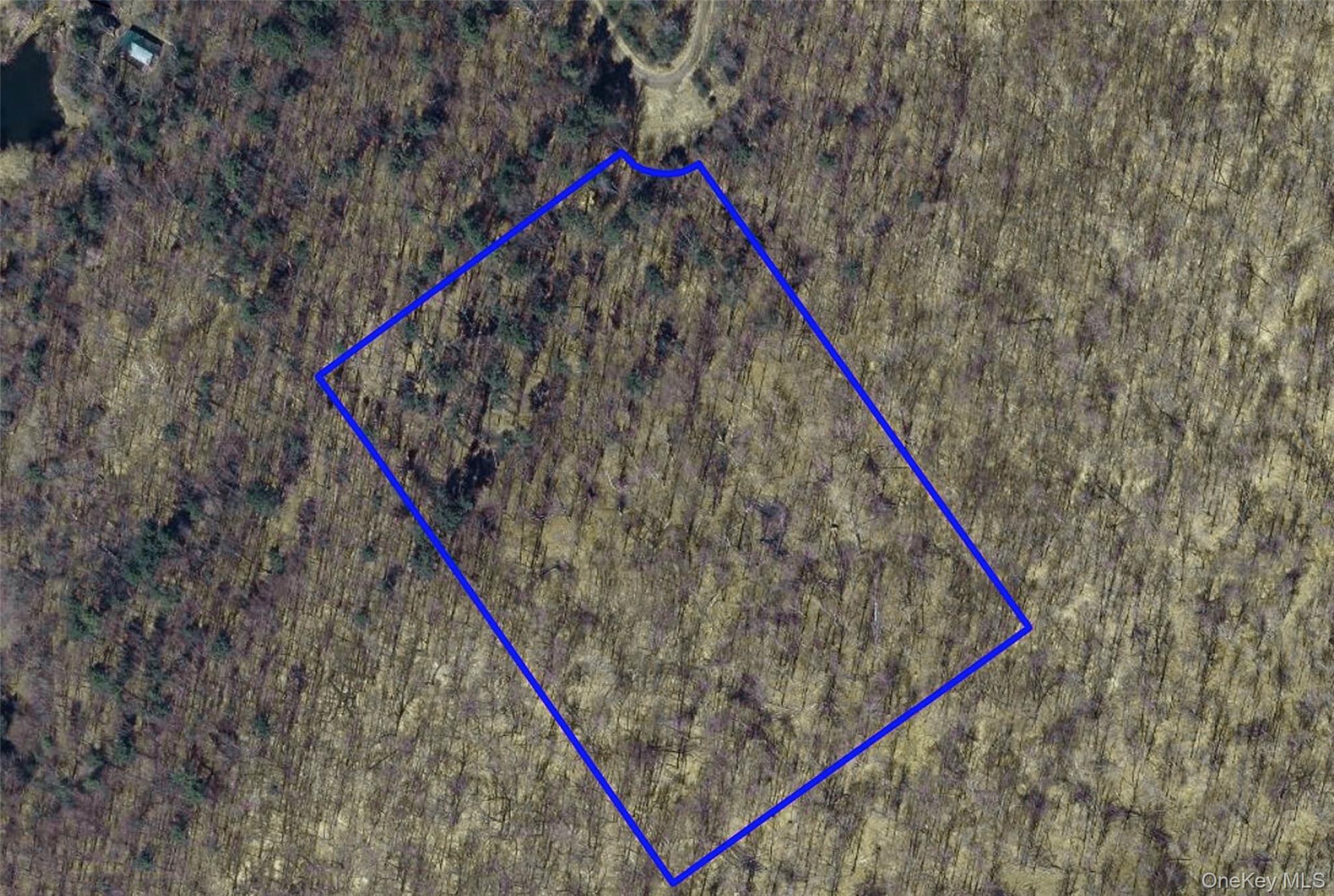 Farm View Road, Other, NY 13786