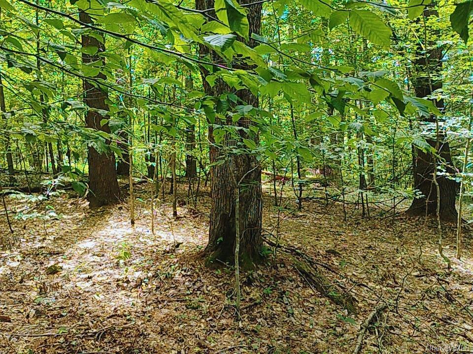 Farm View Road, Other, NY 13786