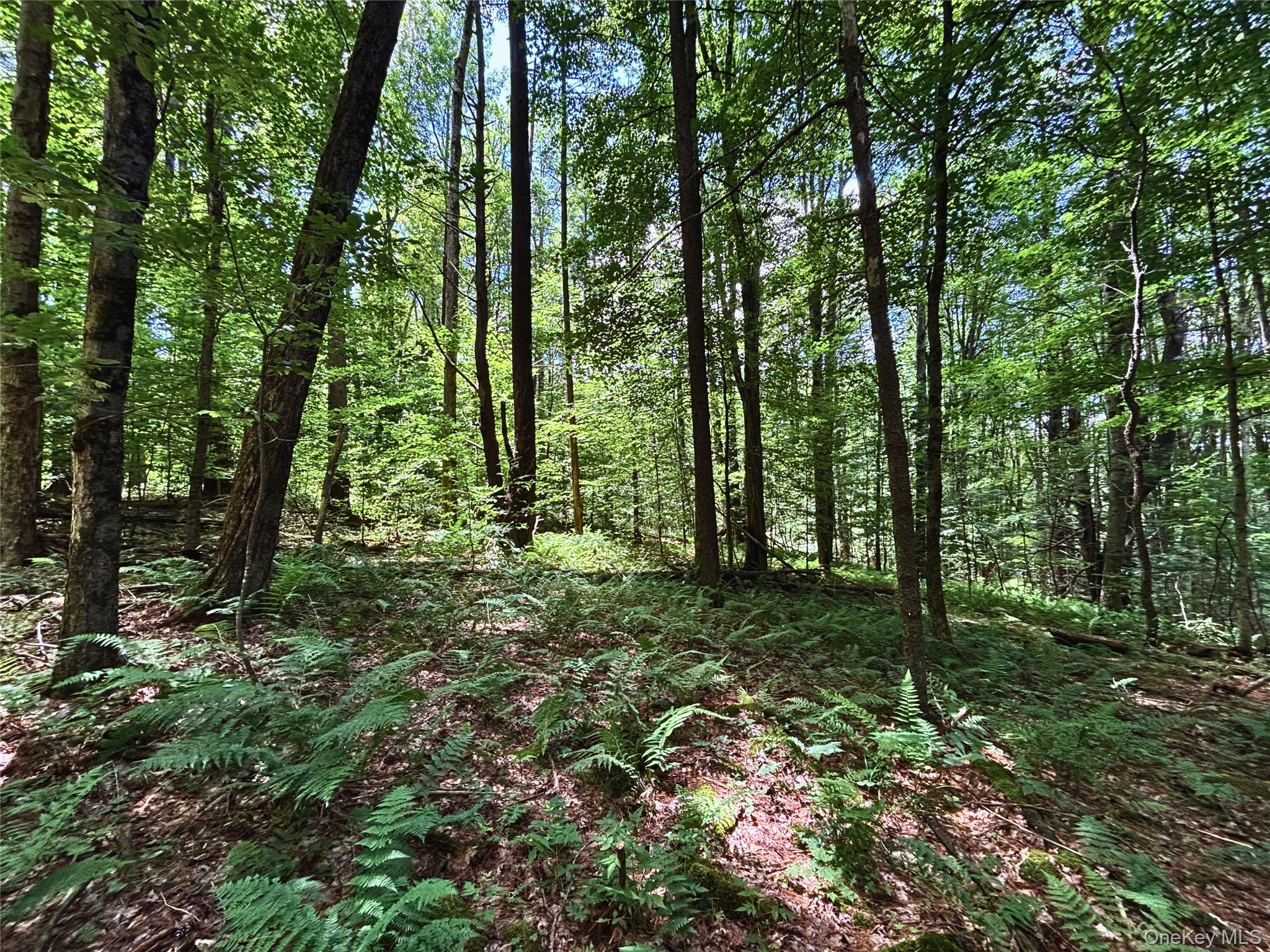 Farm View Road, Other, NY 13786