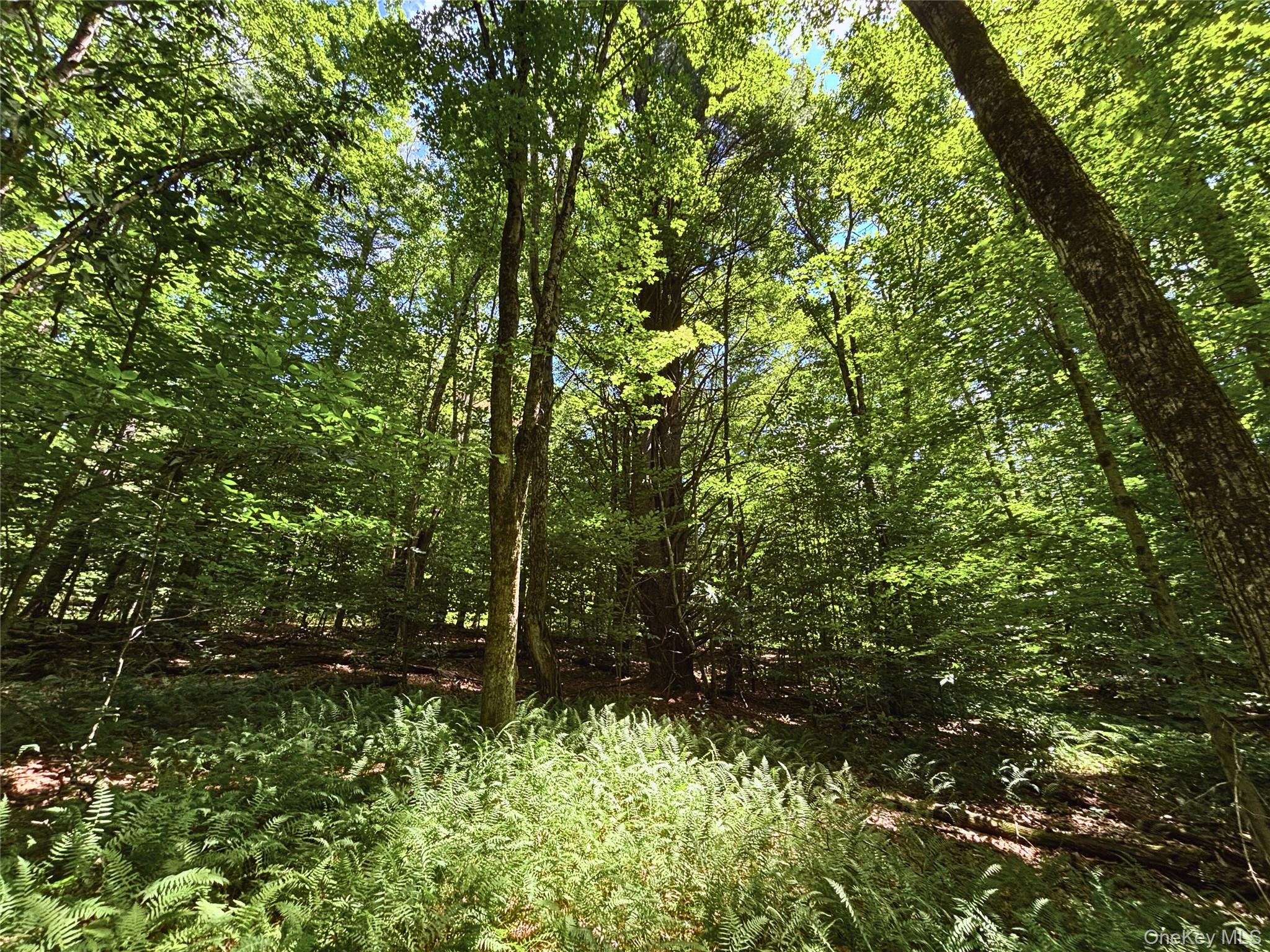 Farm View Road, Other, NY 13786