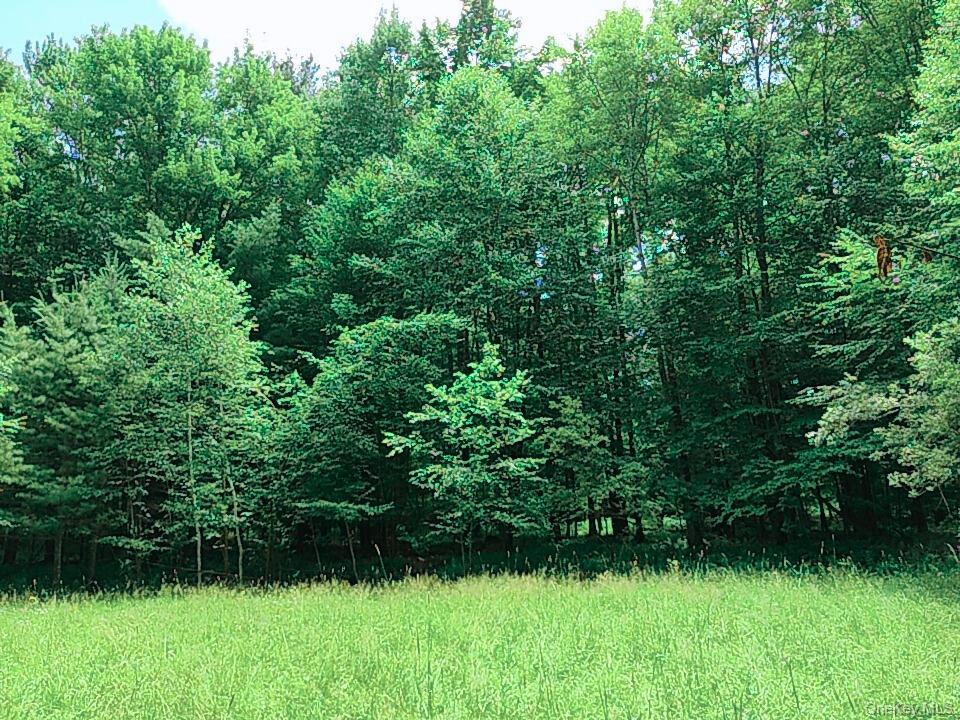 Farm View Road, Other, NY 13786