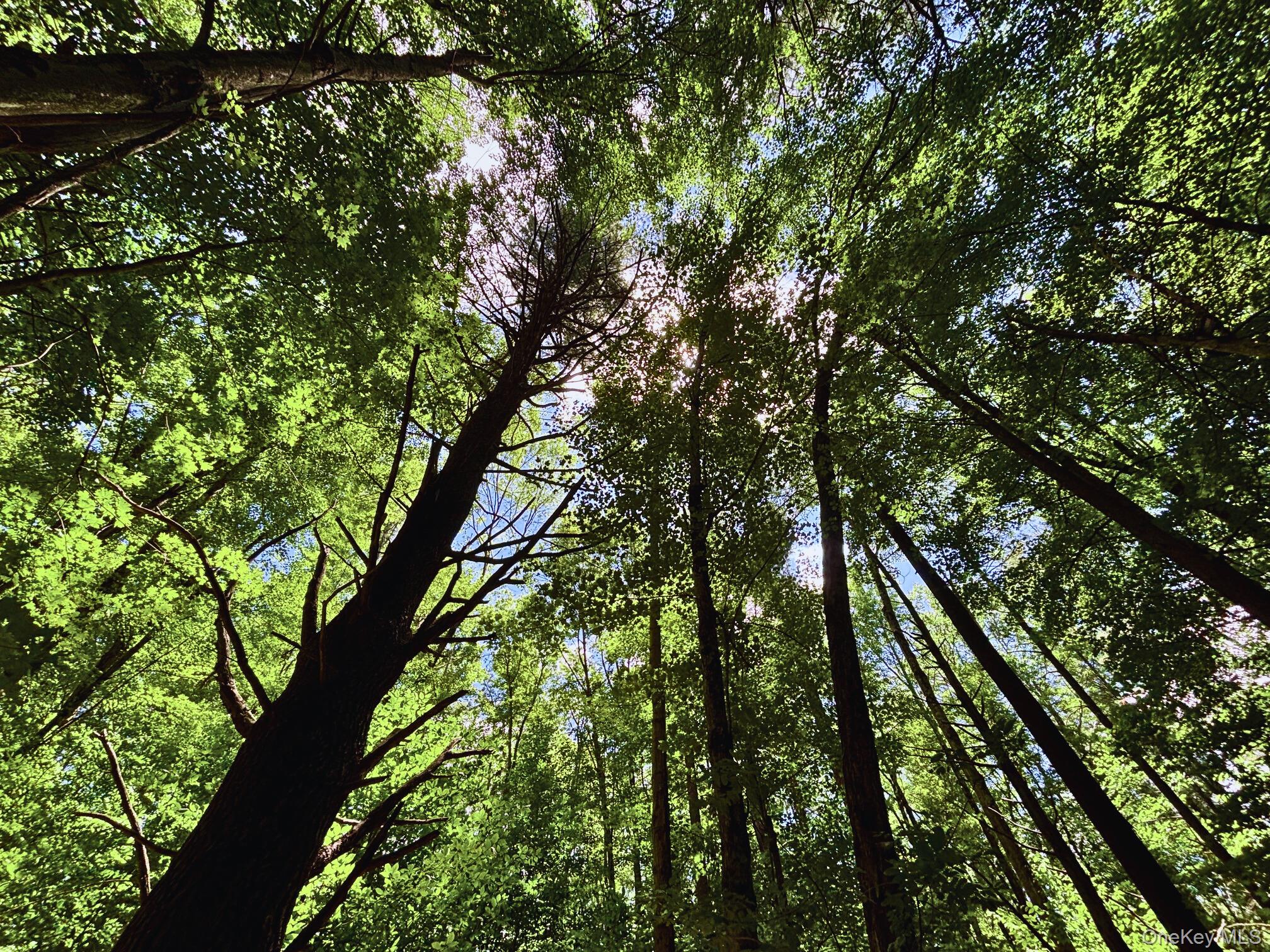 Farm View Road, Other, NY 13786