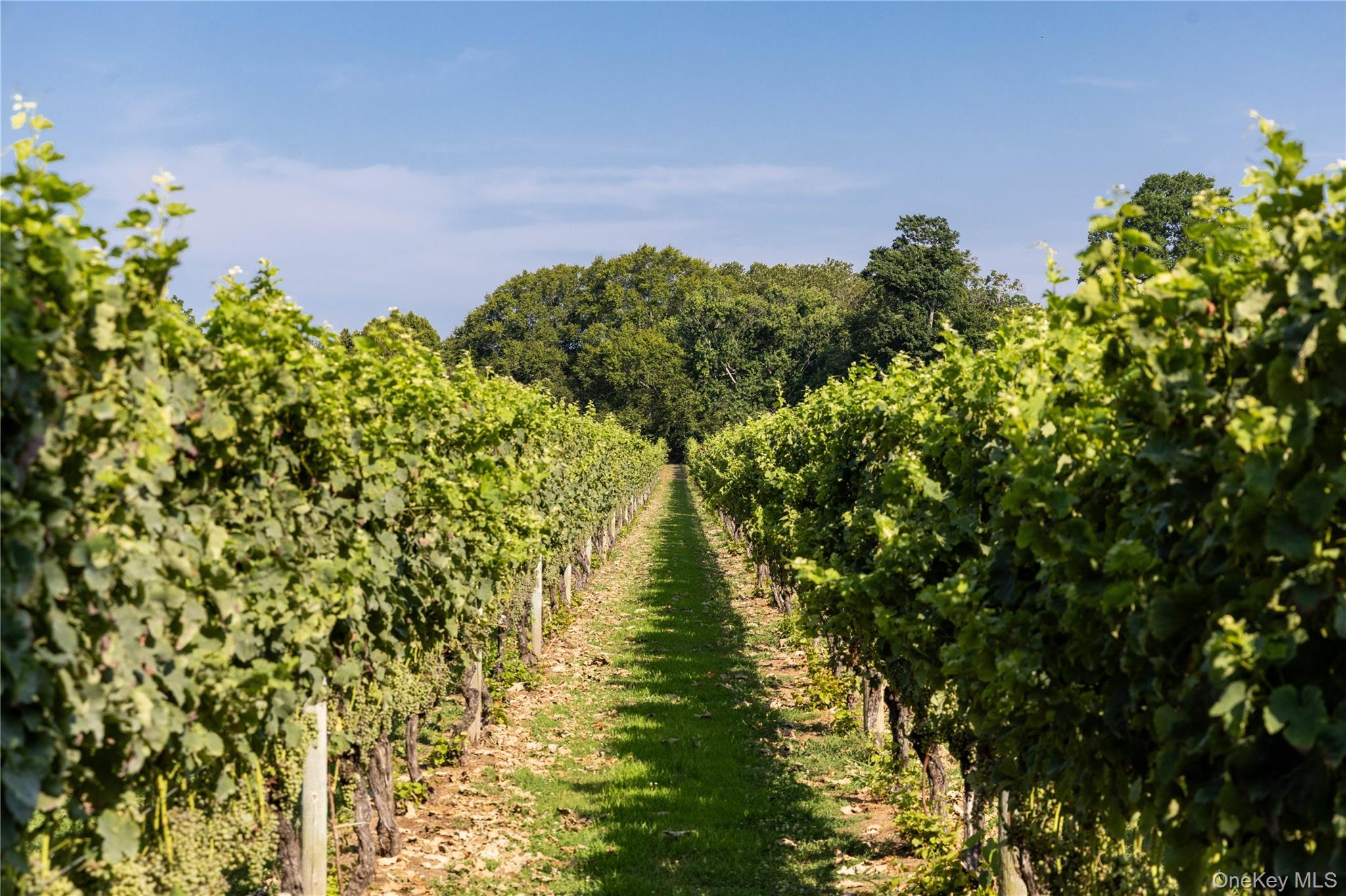 59600 Main Road, Southold, NY 11971