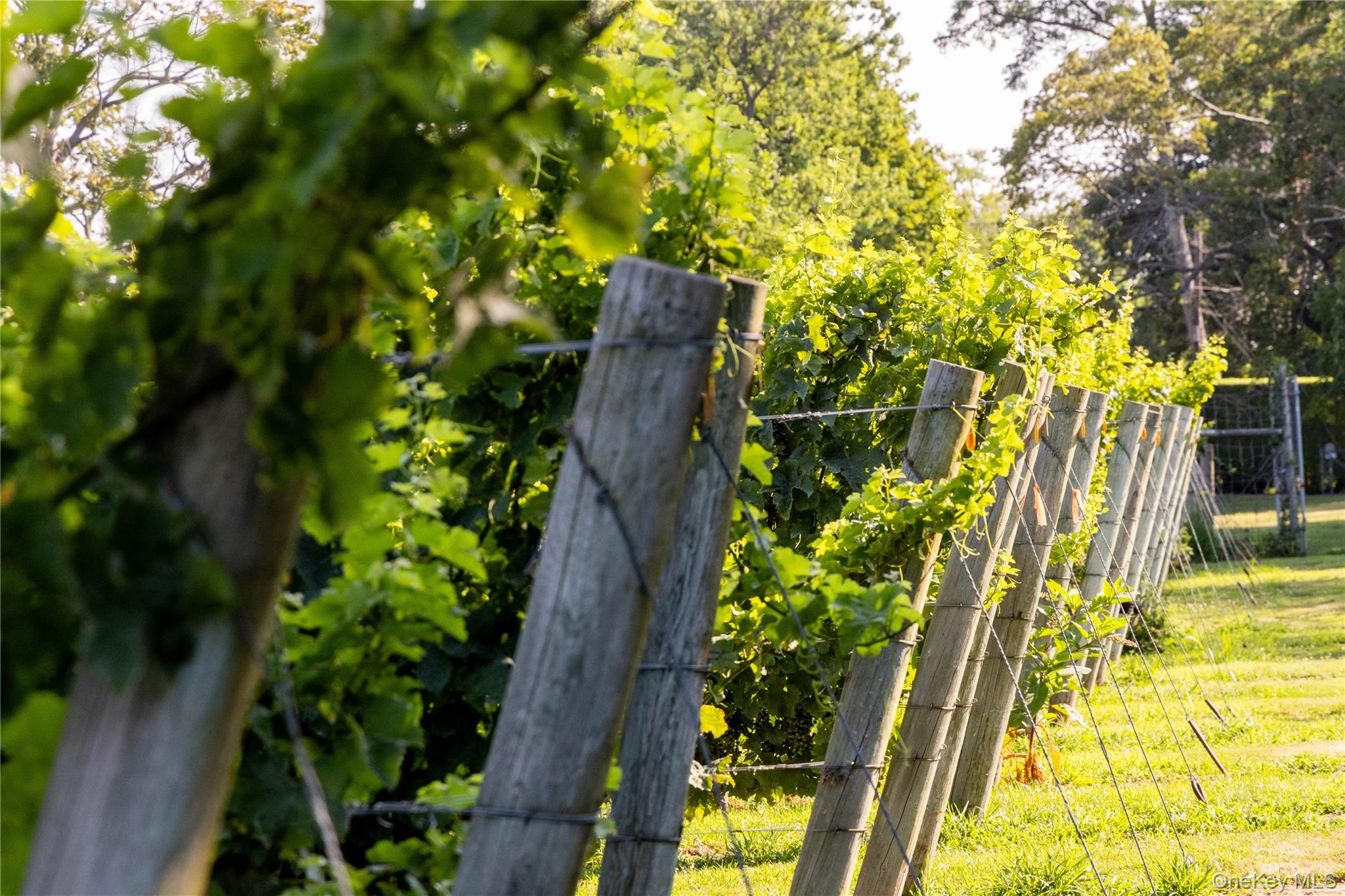 59600 Main Road, Southold, NY 11971