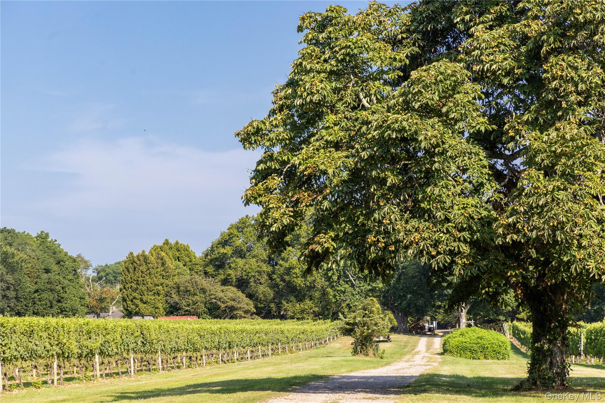 59600 Main Road, Southold, NY 11971