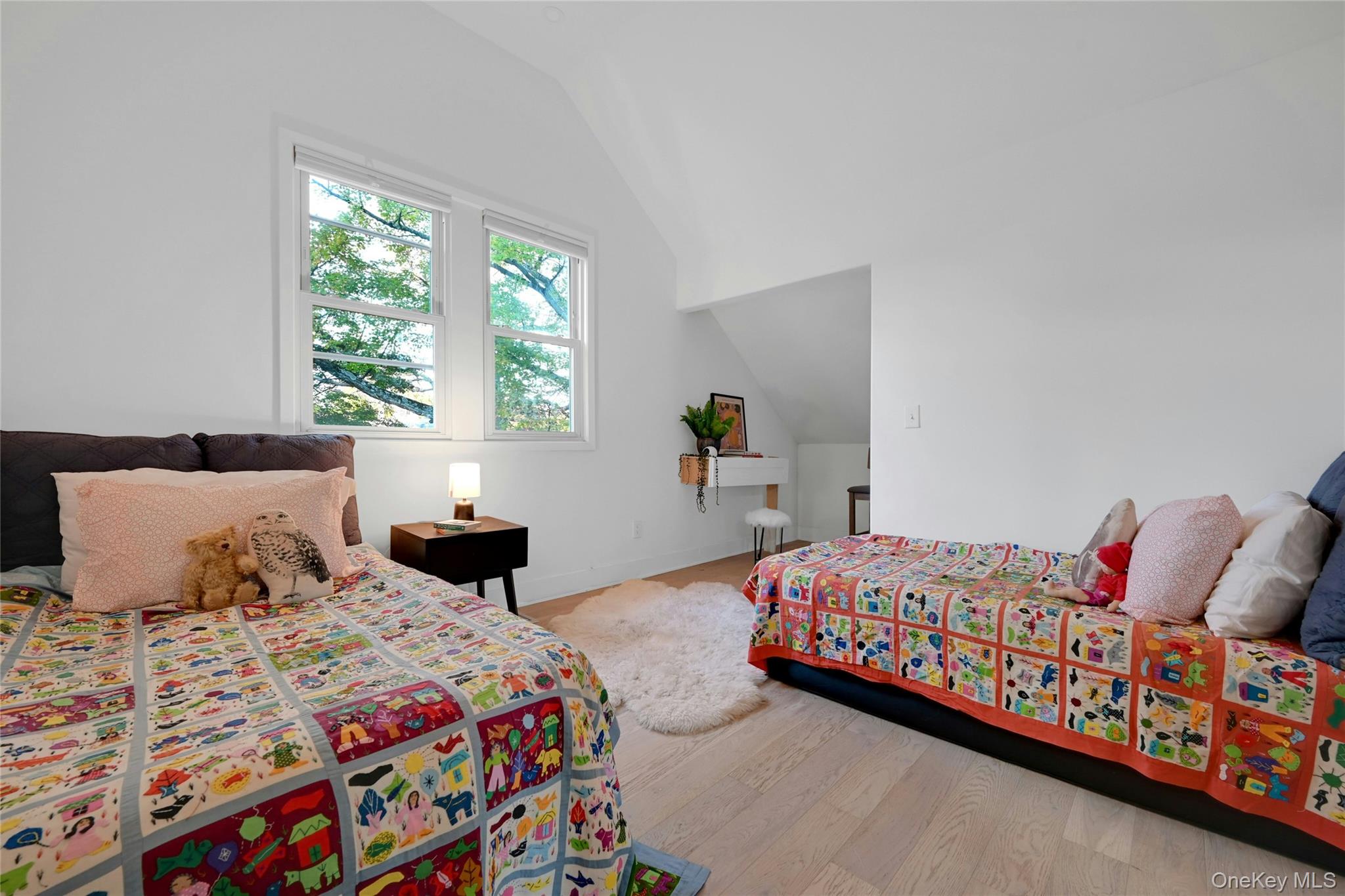 12 E Nauraushaun Avenue, Pearl River, NY 10965