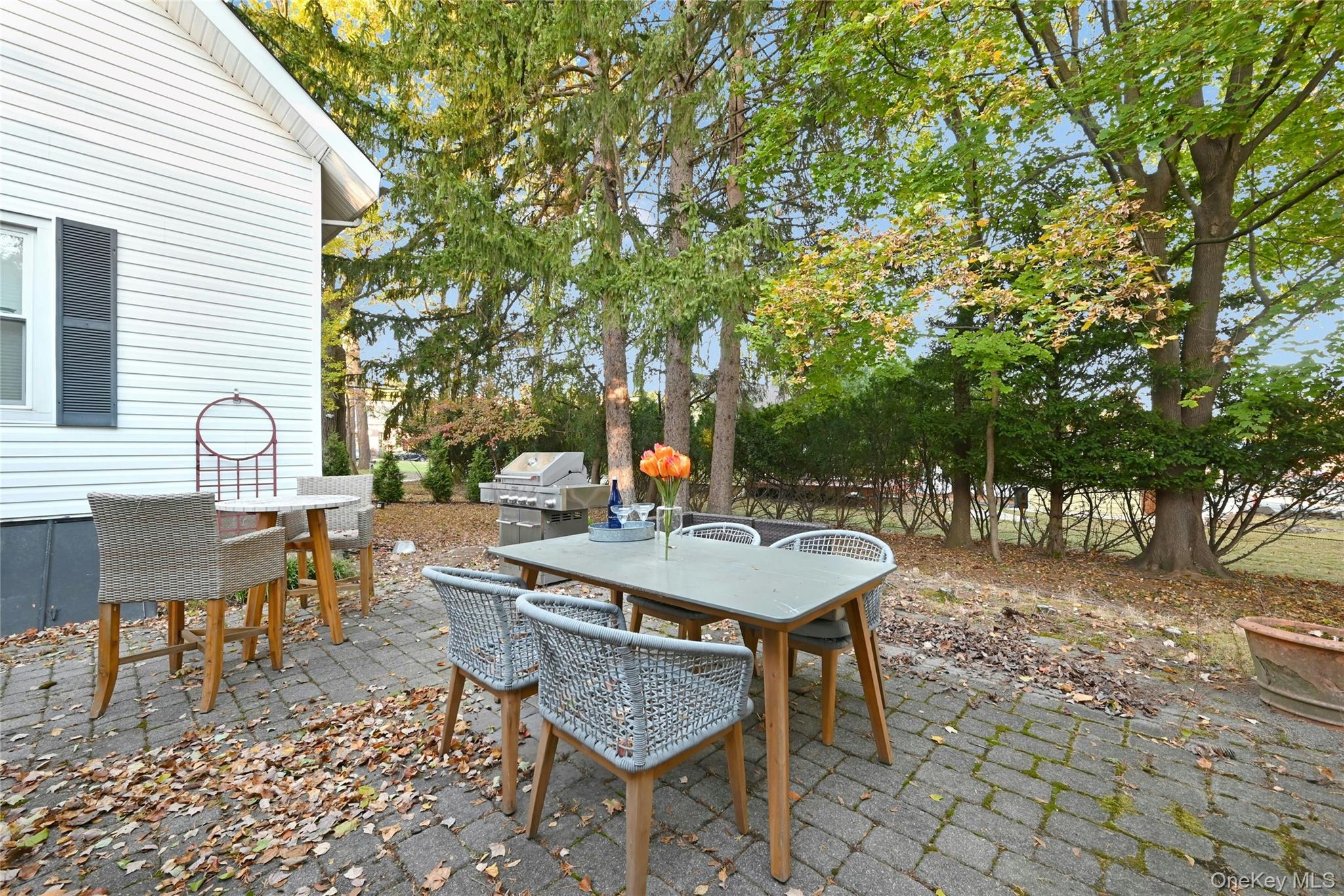 12 E Nauraushaun Avenue, Pearl River, NY 10965