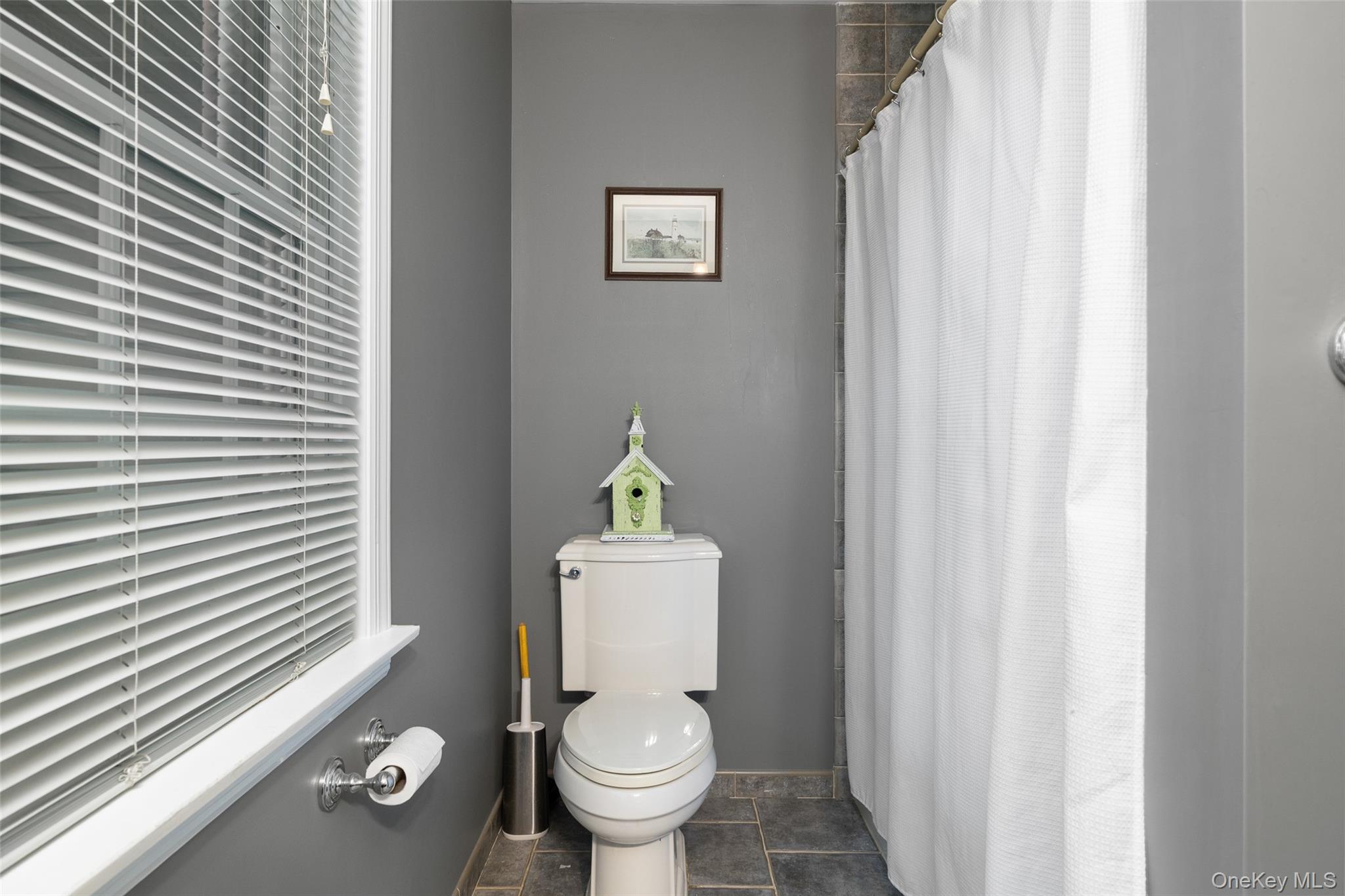 14 Magnolia Drive, New Hyde Park, NY 11040