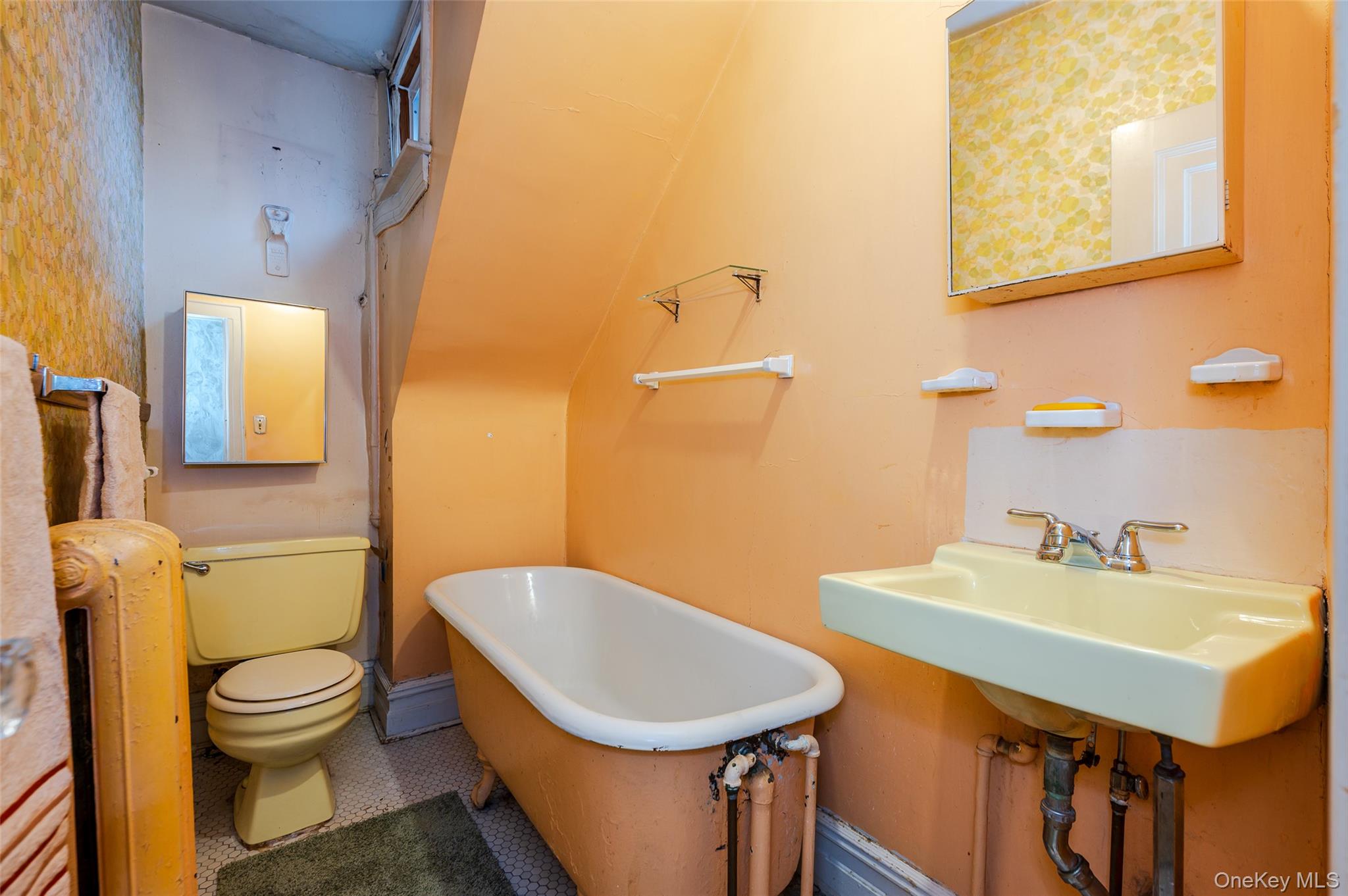 3816 Glenwood Road, Brooklyn, NY 11210