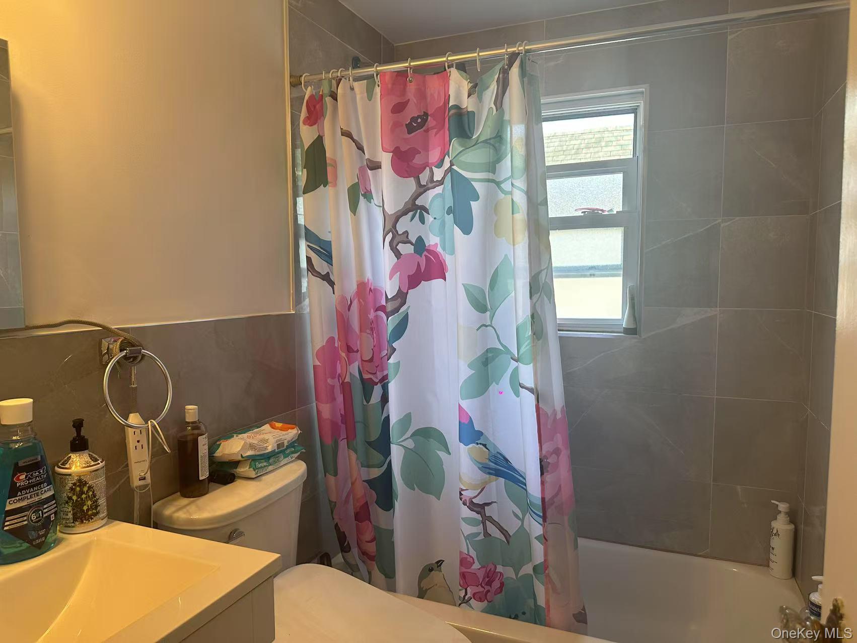 119 Emerson Avenue, Floral Park, NY 11001