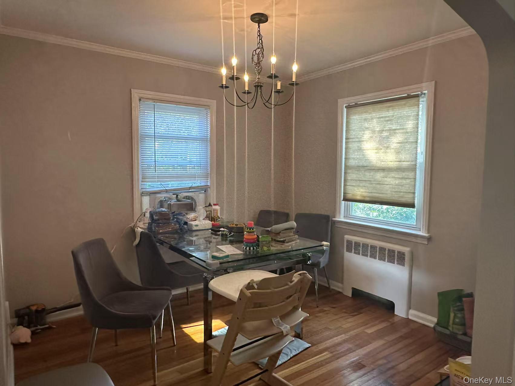 119 Emerson Avenue, Floral Park, NY 11001