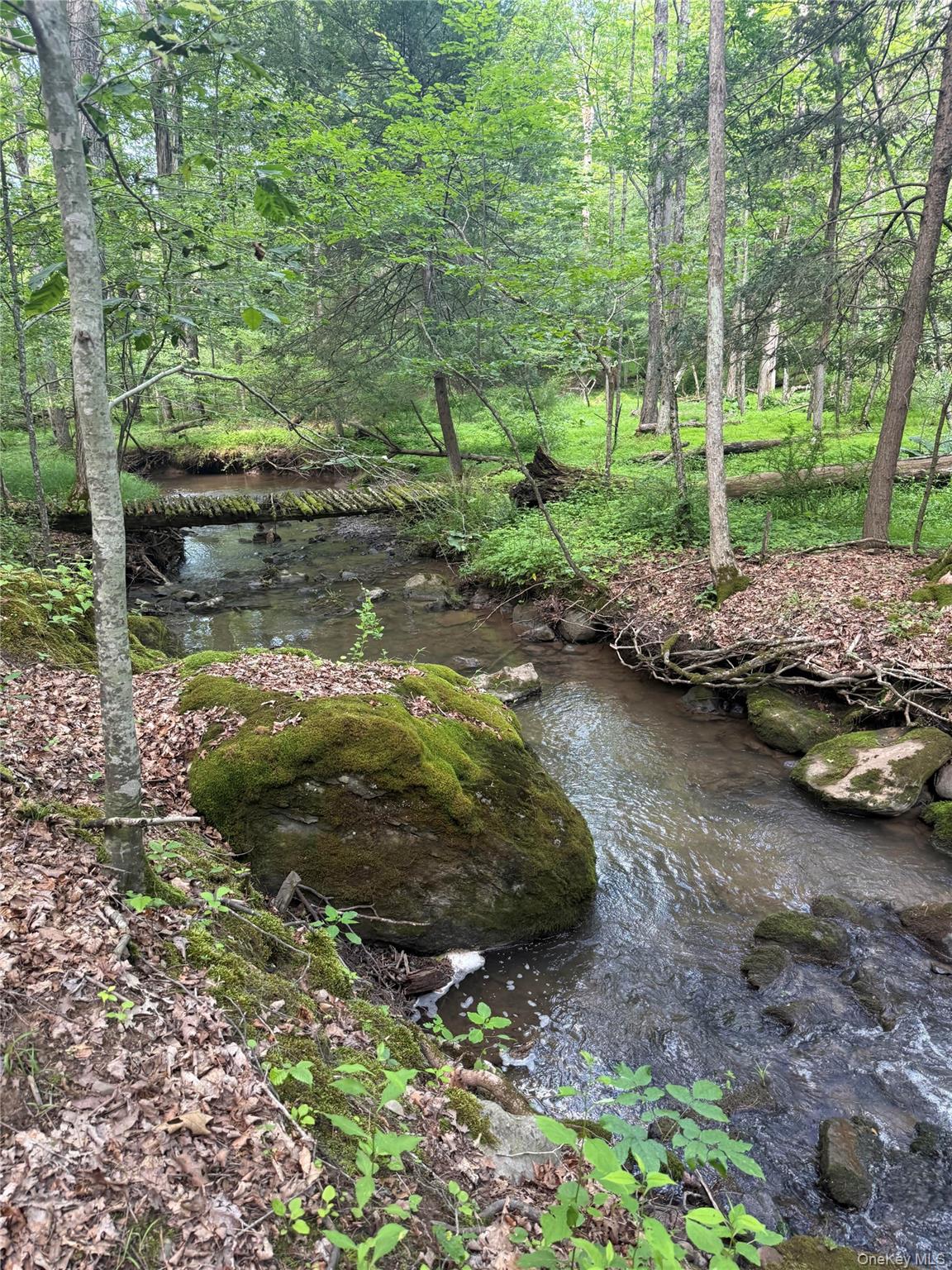 131 Mossybrook Road, High Falls, NY 12440