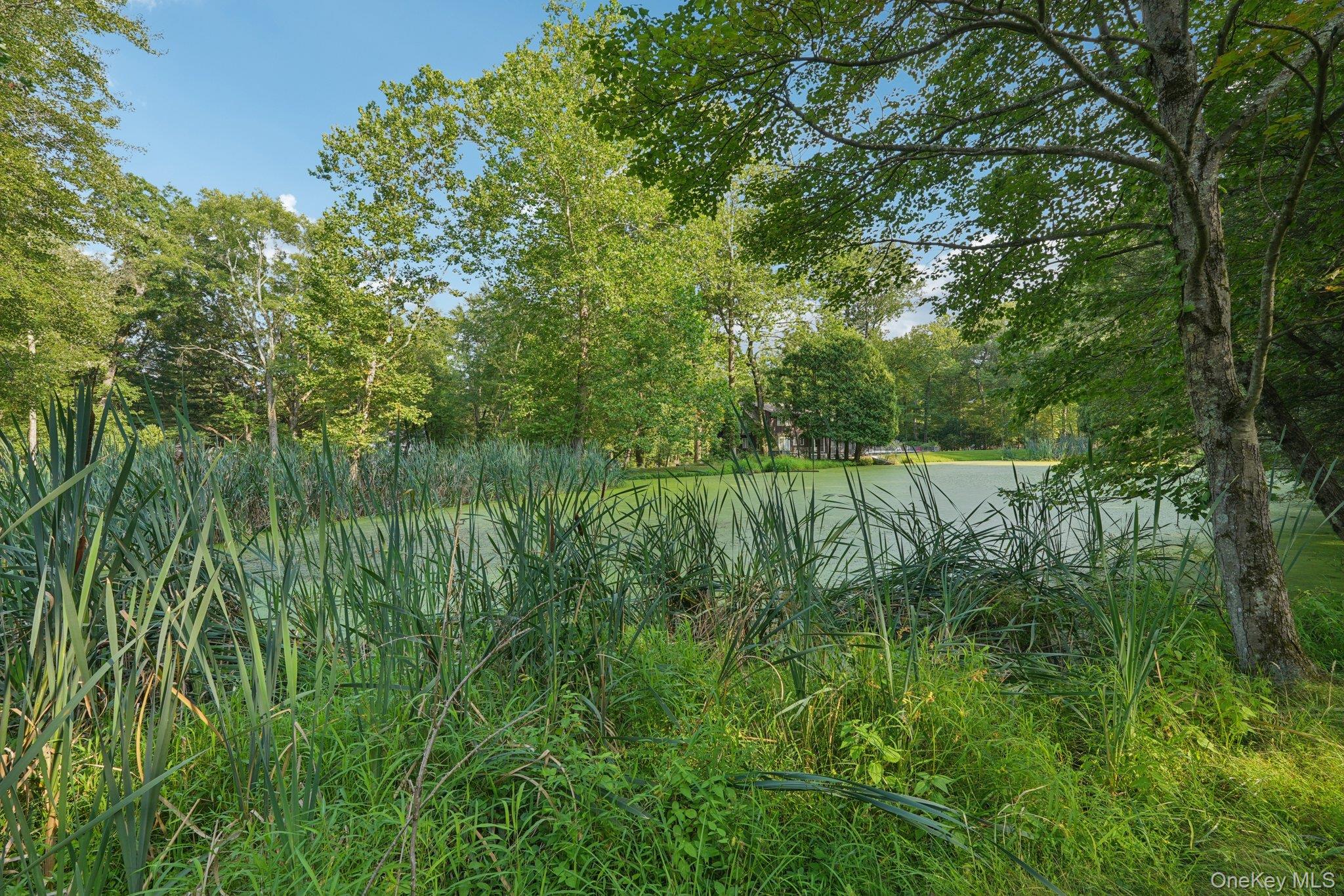 11 Old Phillips Hill Road, New City, NY 10956