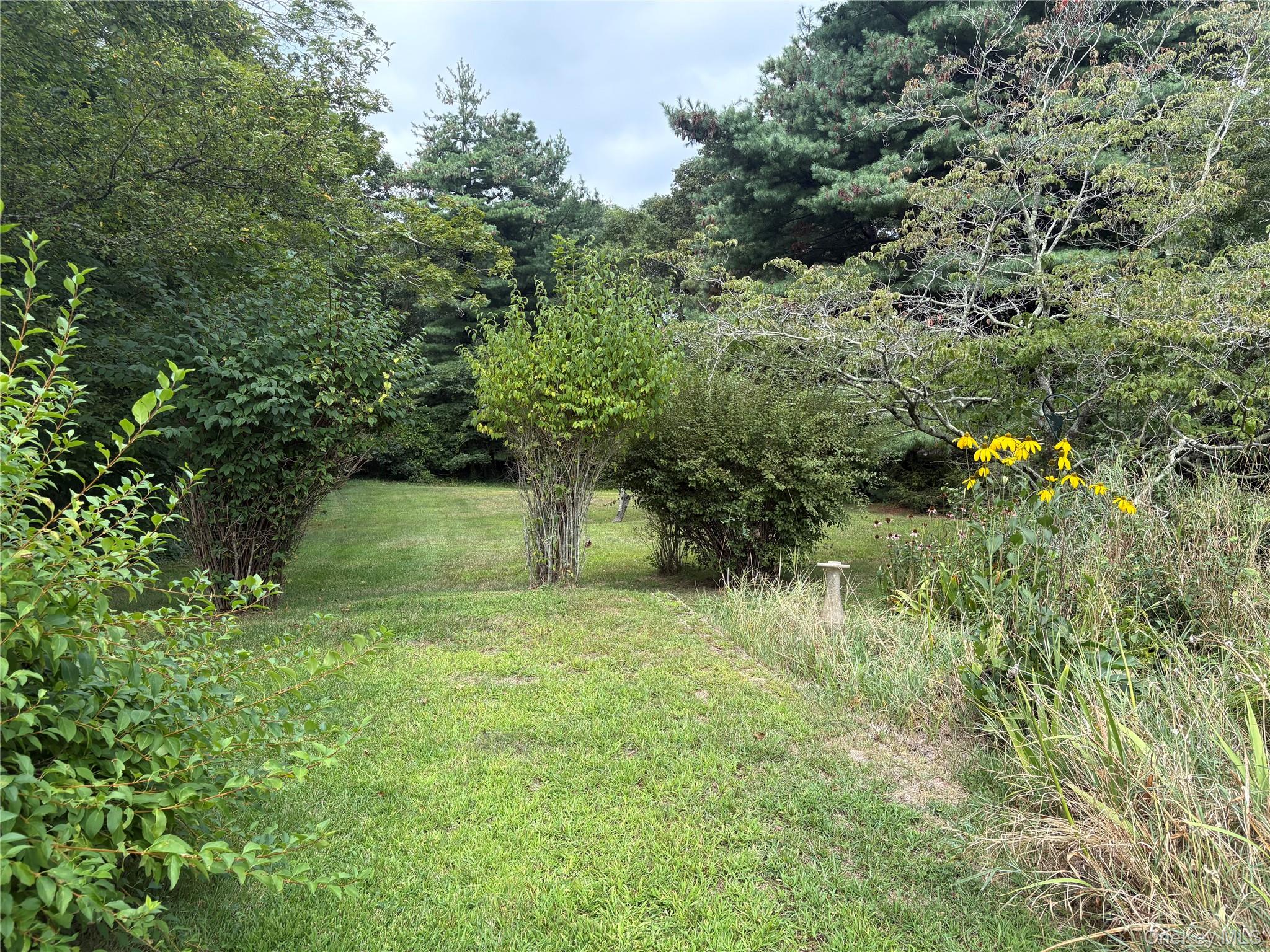 184 Mount Vernon Ave., Medford, NY 11763