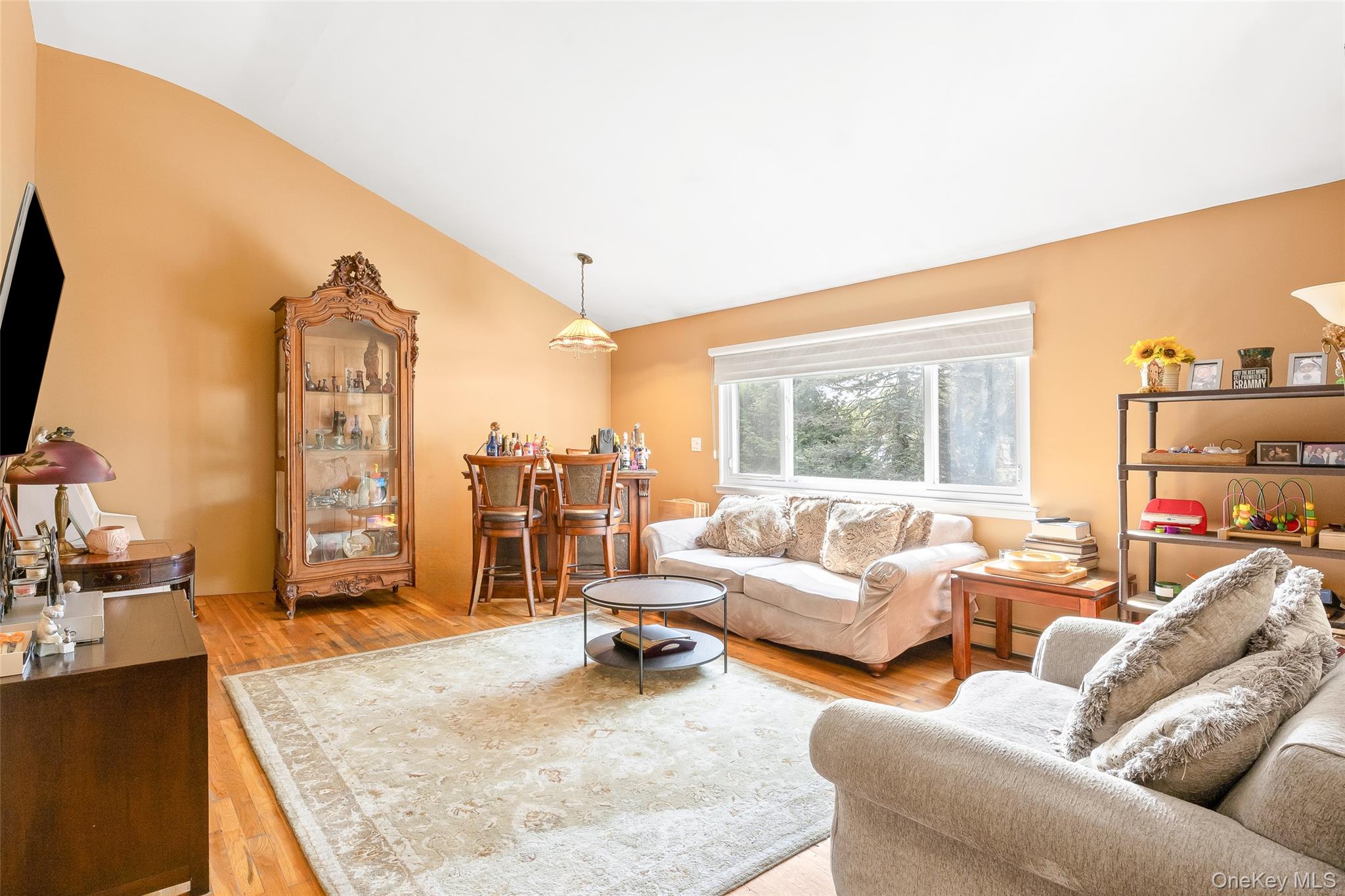 36 Southwick Court S, Plainview, NY 11803