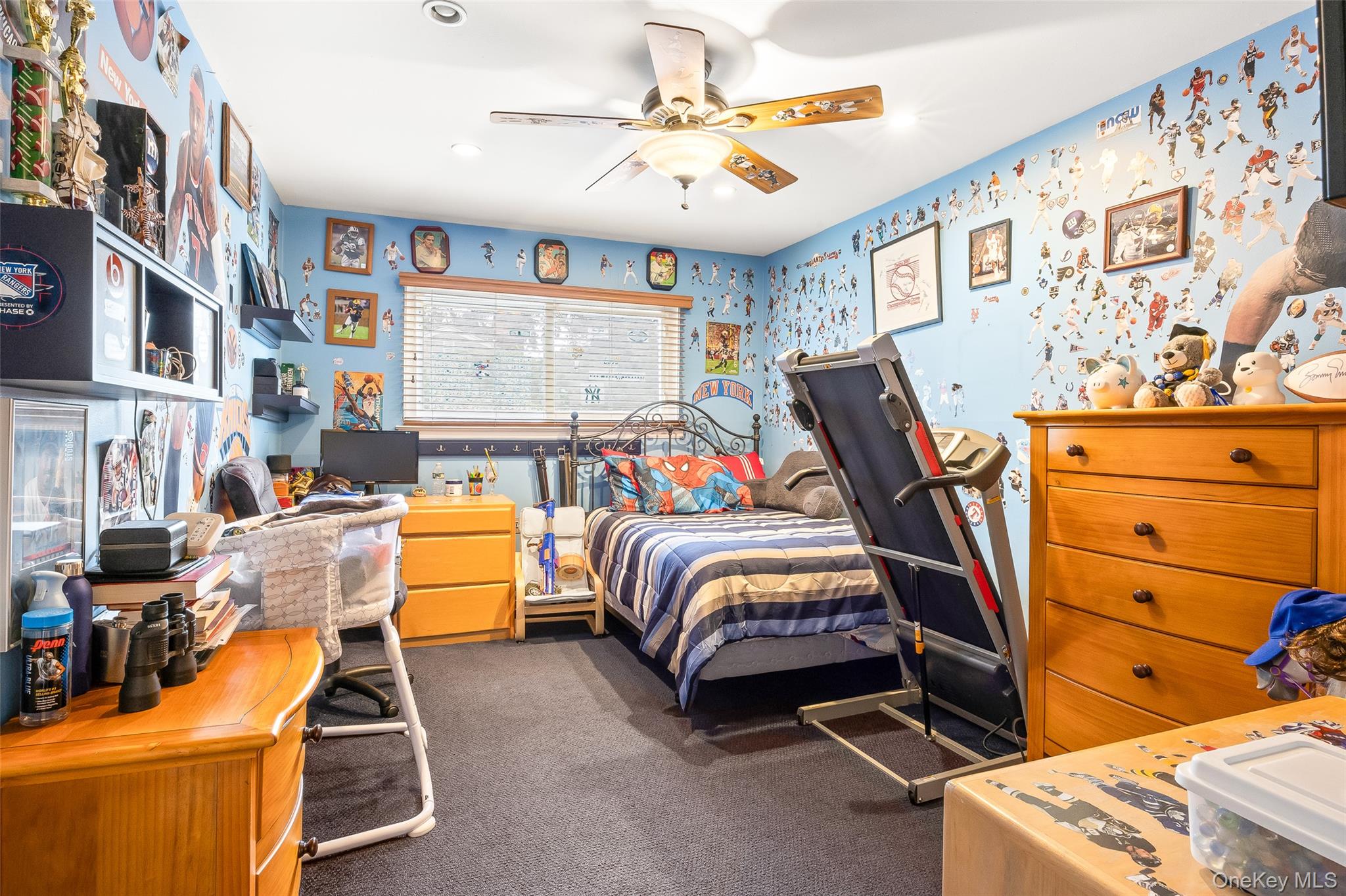 36 Southwick Court S, Plainview, NY 11803