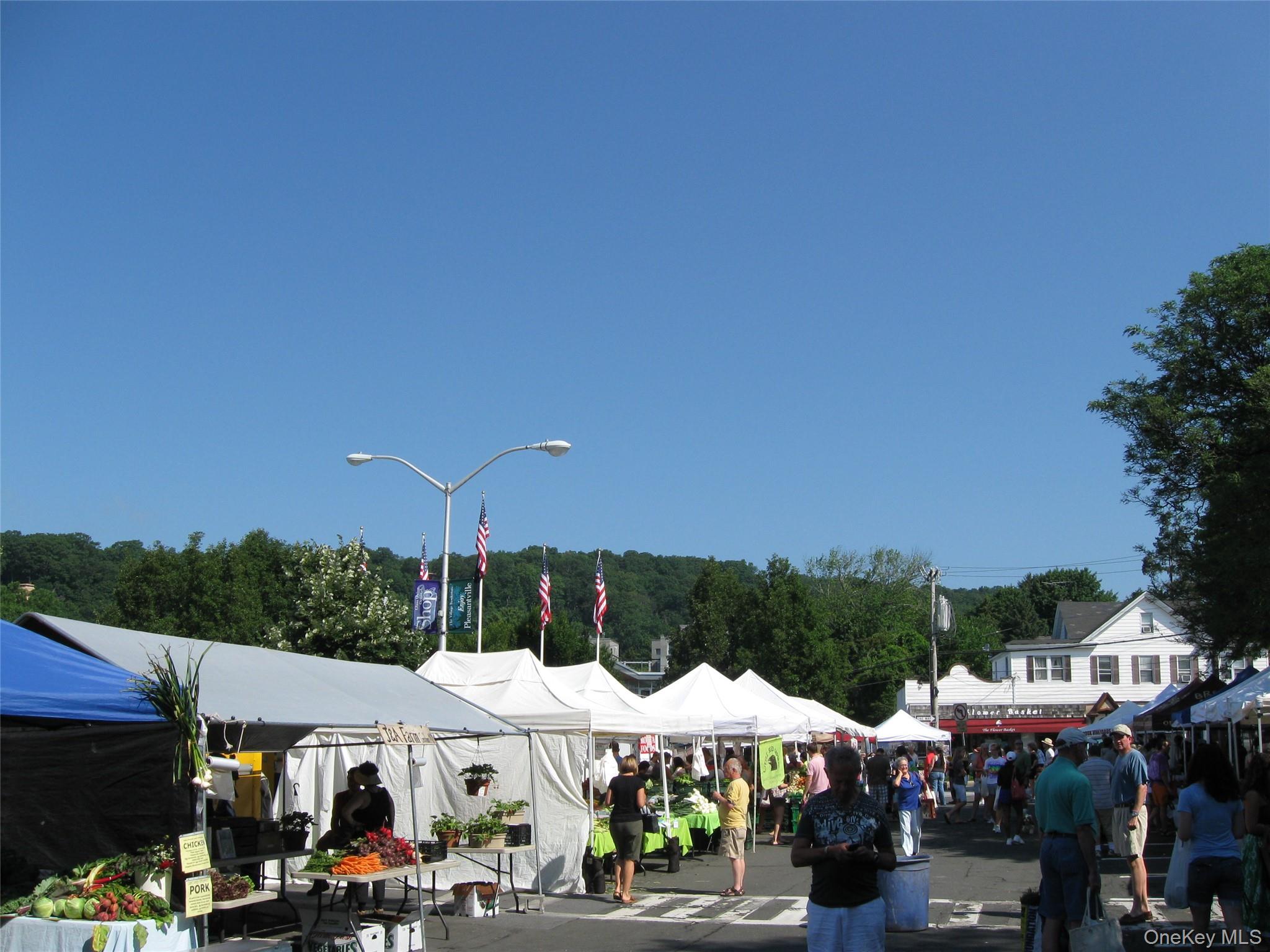 60 Foxwood Drive # 2, Pleasantville, NY 10570