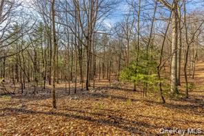 TBD Cragsmoor/Vista Maria, Cragsmoor, NY