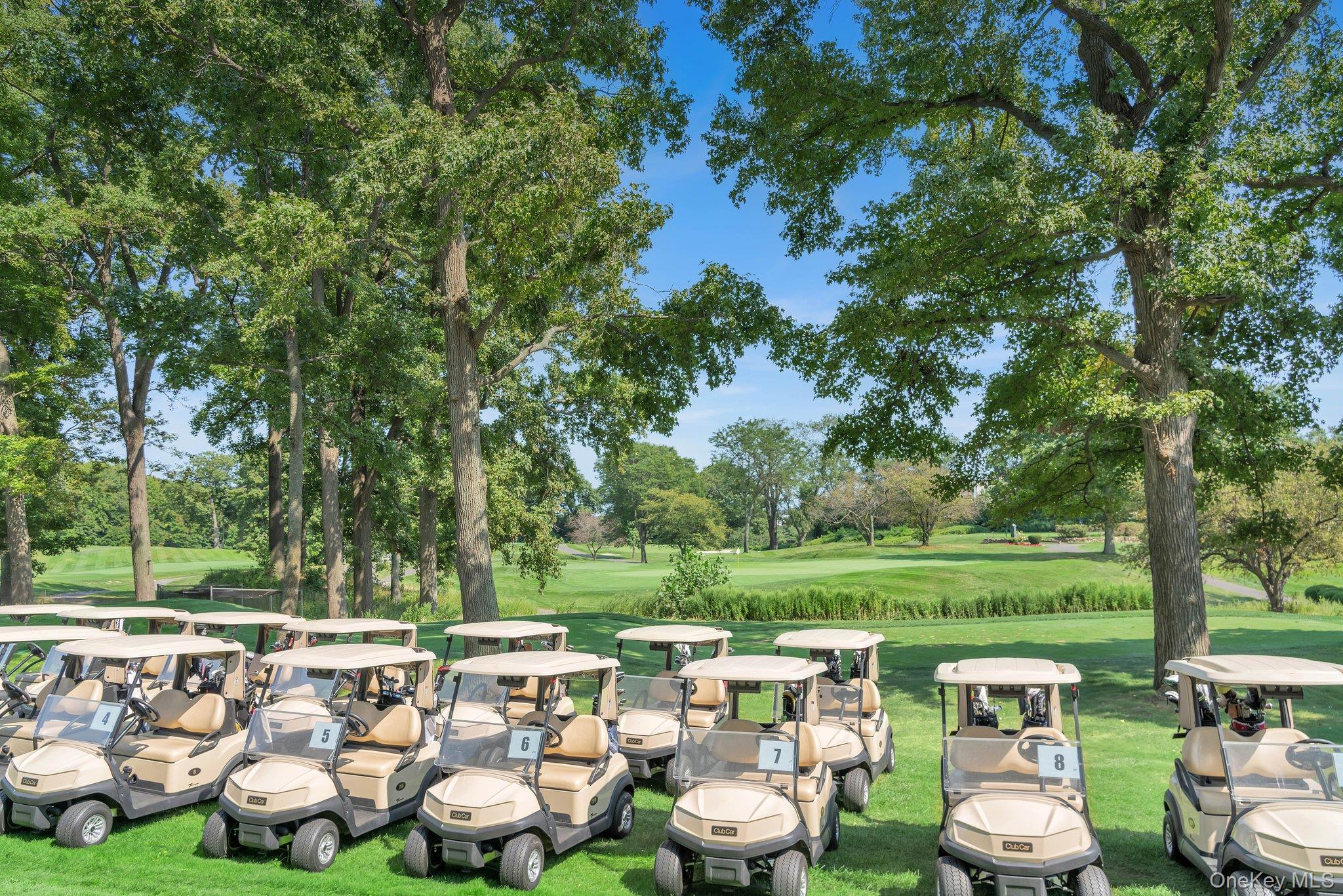 27110 Grand Central Parkway Parkway # 15Z, Floral Park, NY 11005