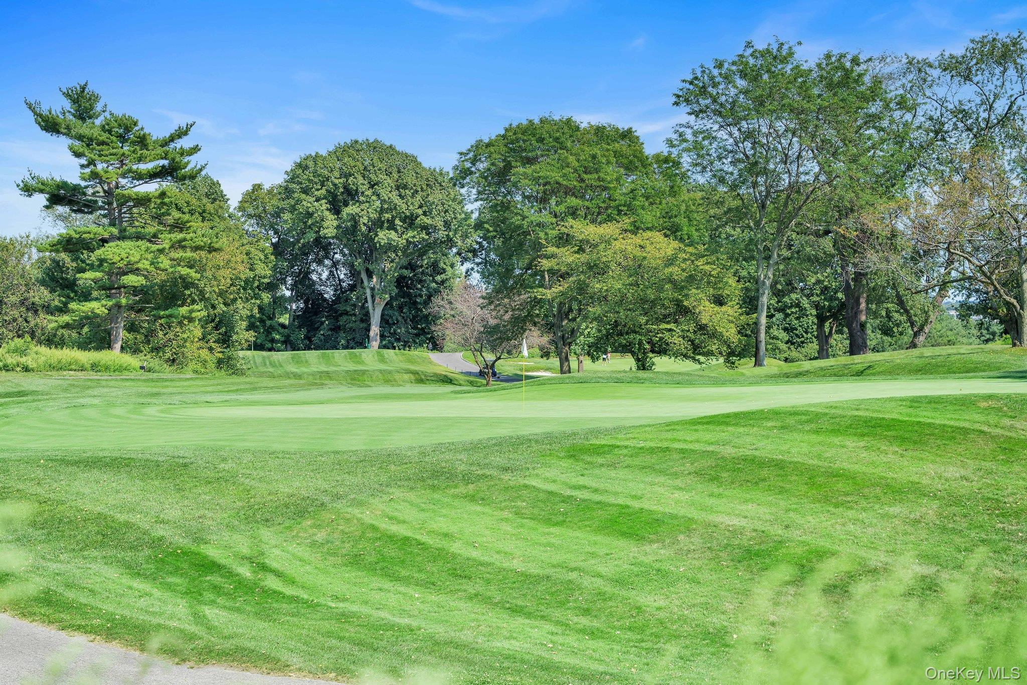 27110 Grand Central Parkway Parkway # 15Z, Floral Park, NY 11005