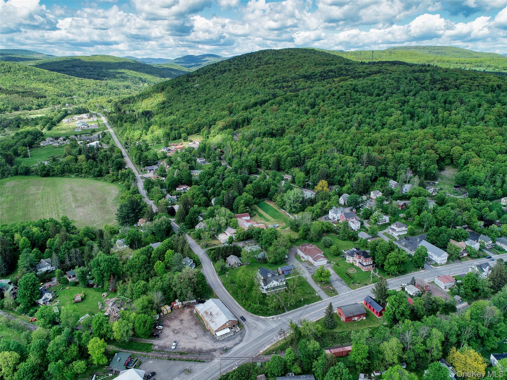 43355 State Route 28, Arkville, NY 12406