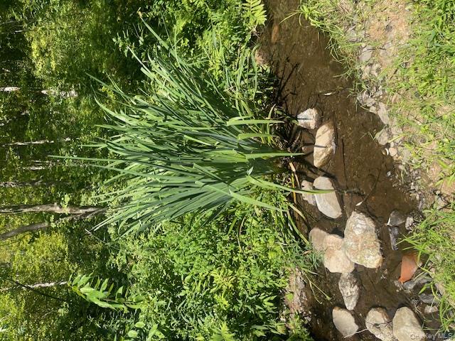 472 Doodletown Road, Elizaville, NY 12523