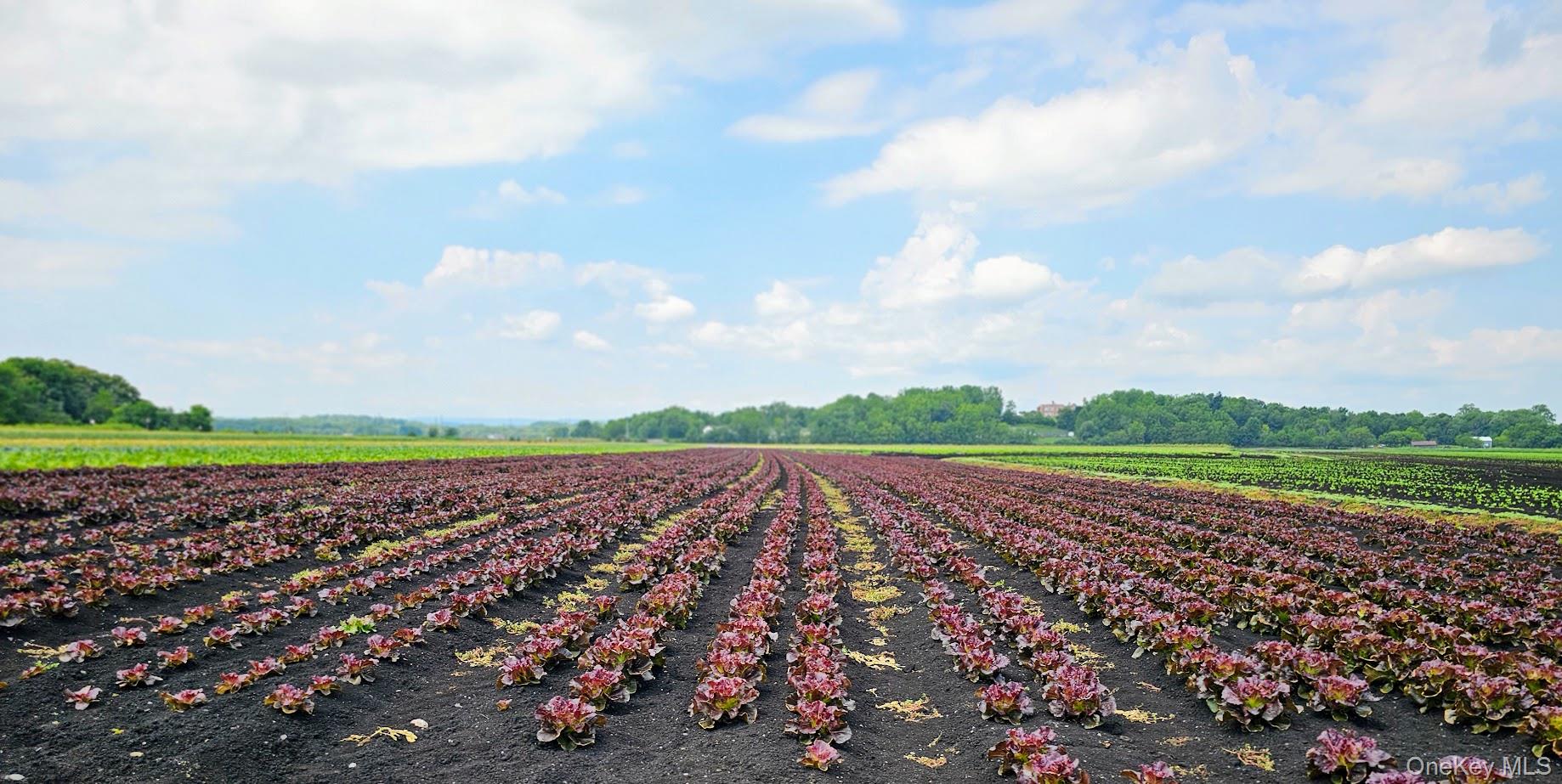 67-71-73 Little York Road, Warwick, NY 10990