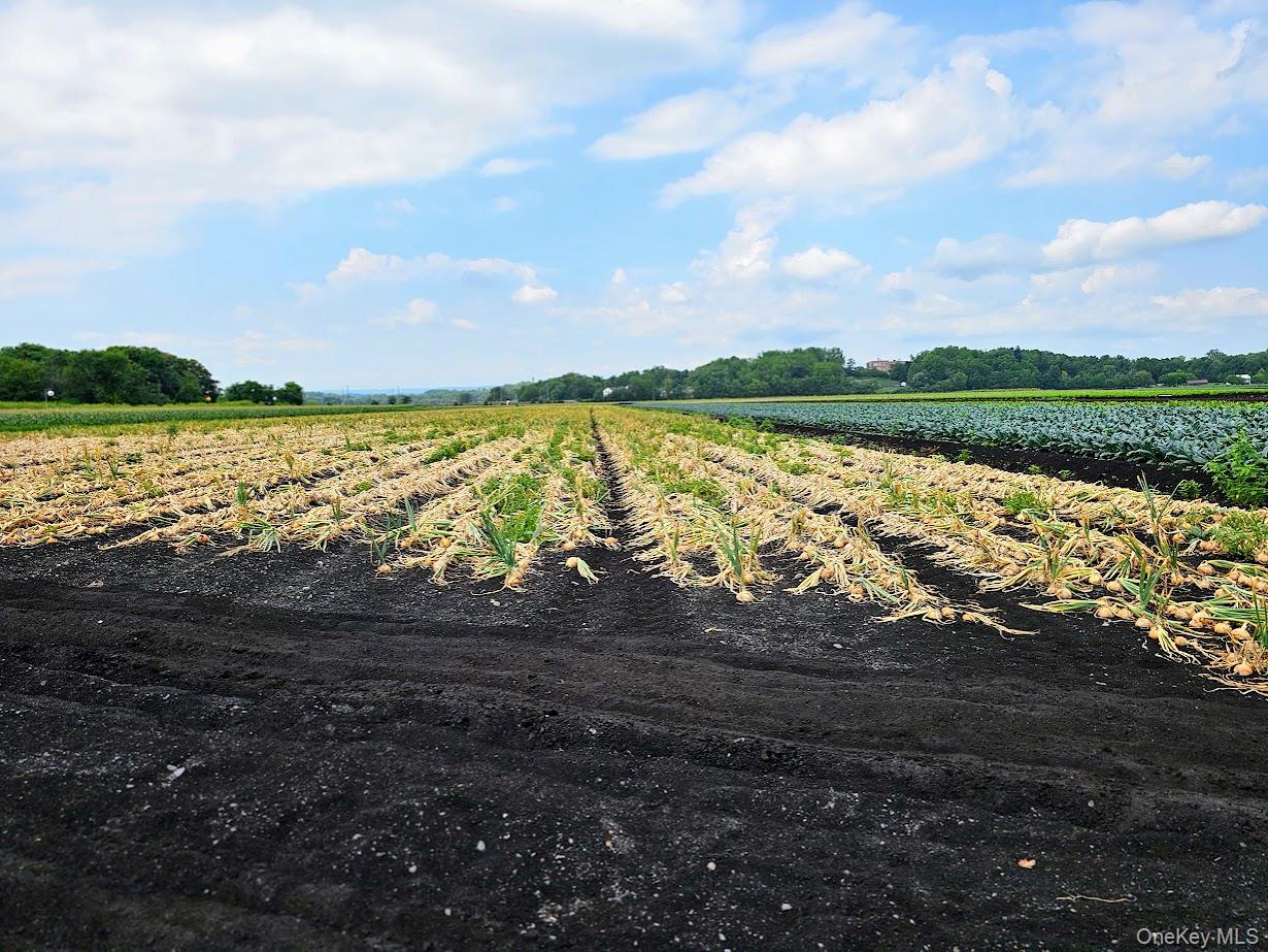 67-71-73 Little York Road, Warwick, NY 10990