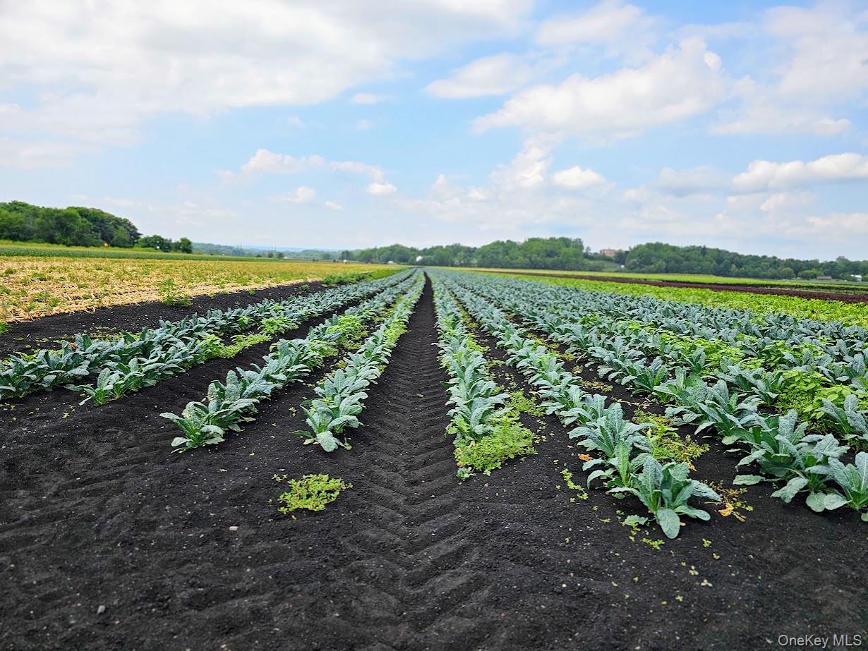 67-71-73 Little York Road, Warwick, NY 10990