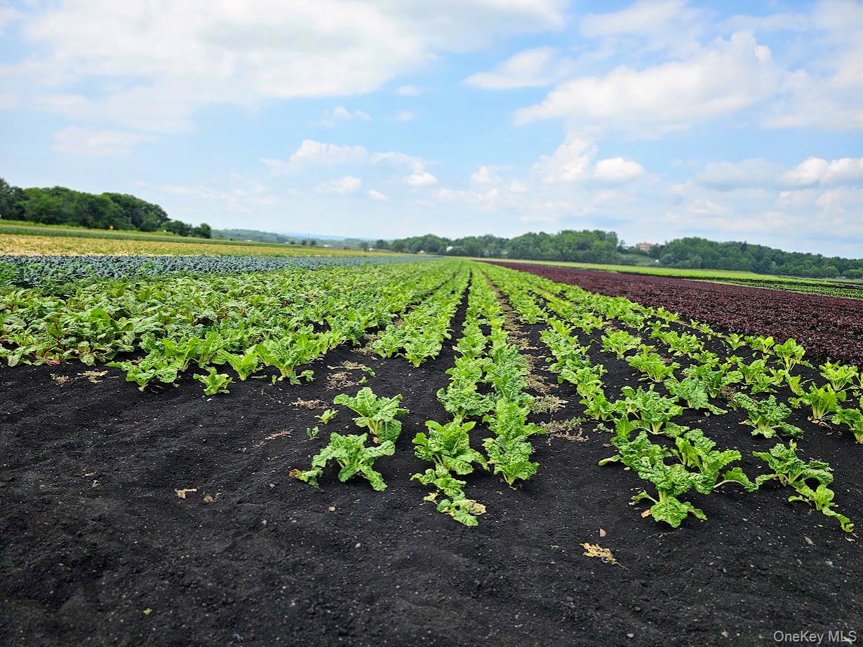 67-71-73 Little York Road, Warwick, NY 10990