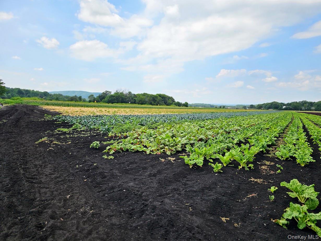 67-71-73 Little York Road, Warwick, NY 10990