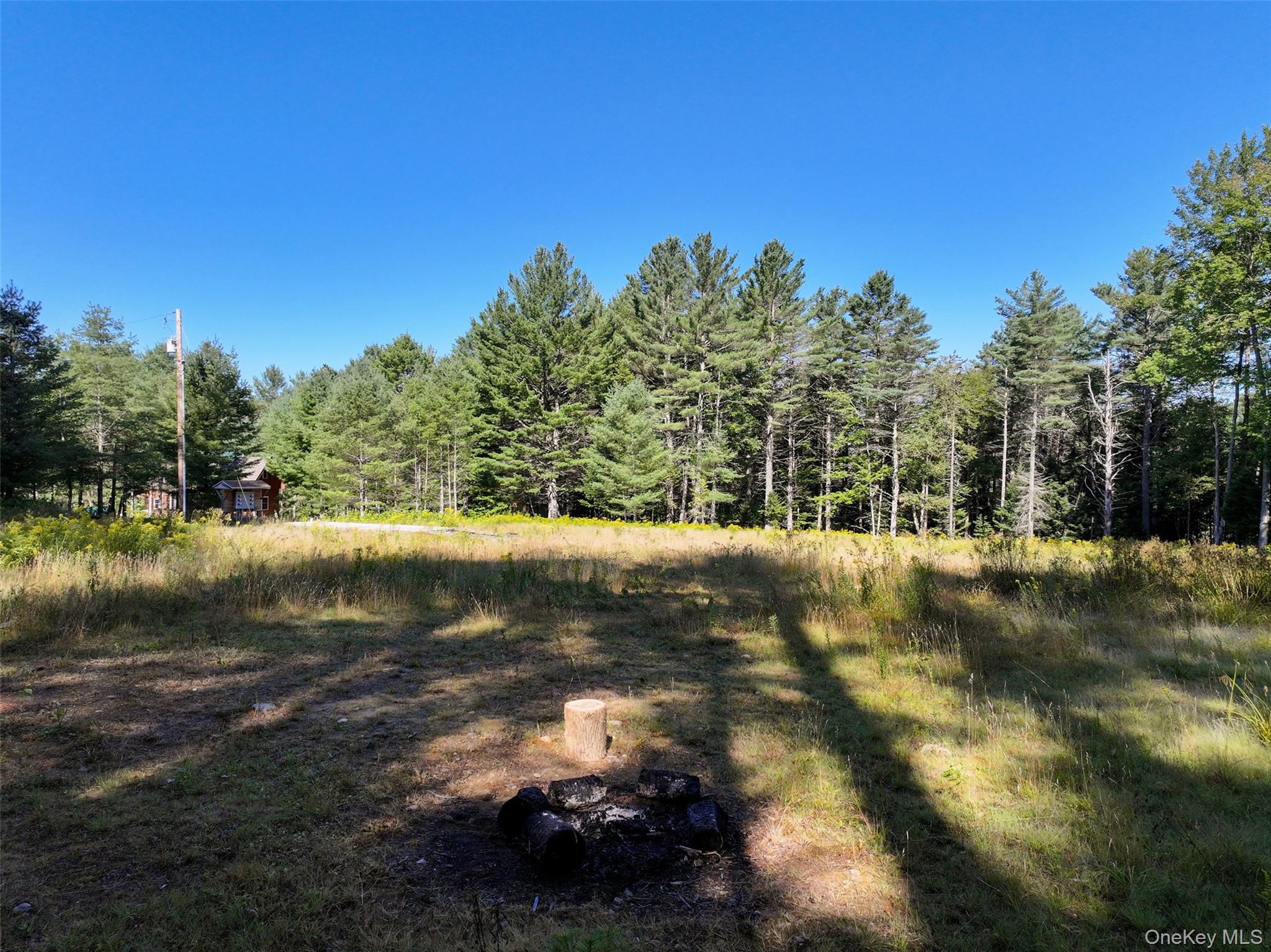 L39 Off Flowers Way, Call Listing Agent, NY 12847