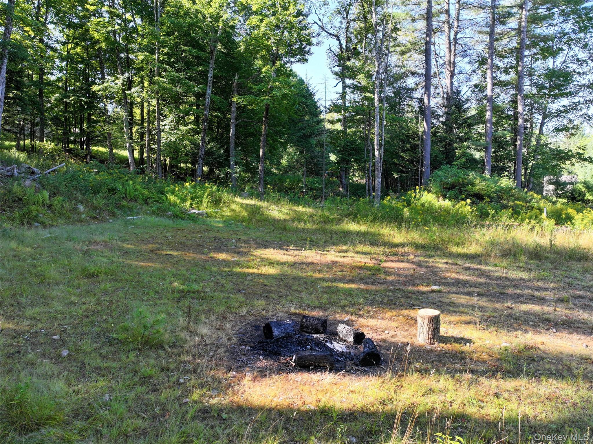 L39 Off Flowers Way, Call Listing Agent, NY 12847