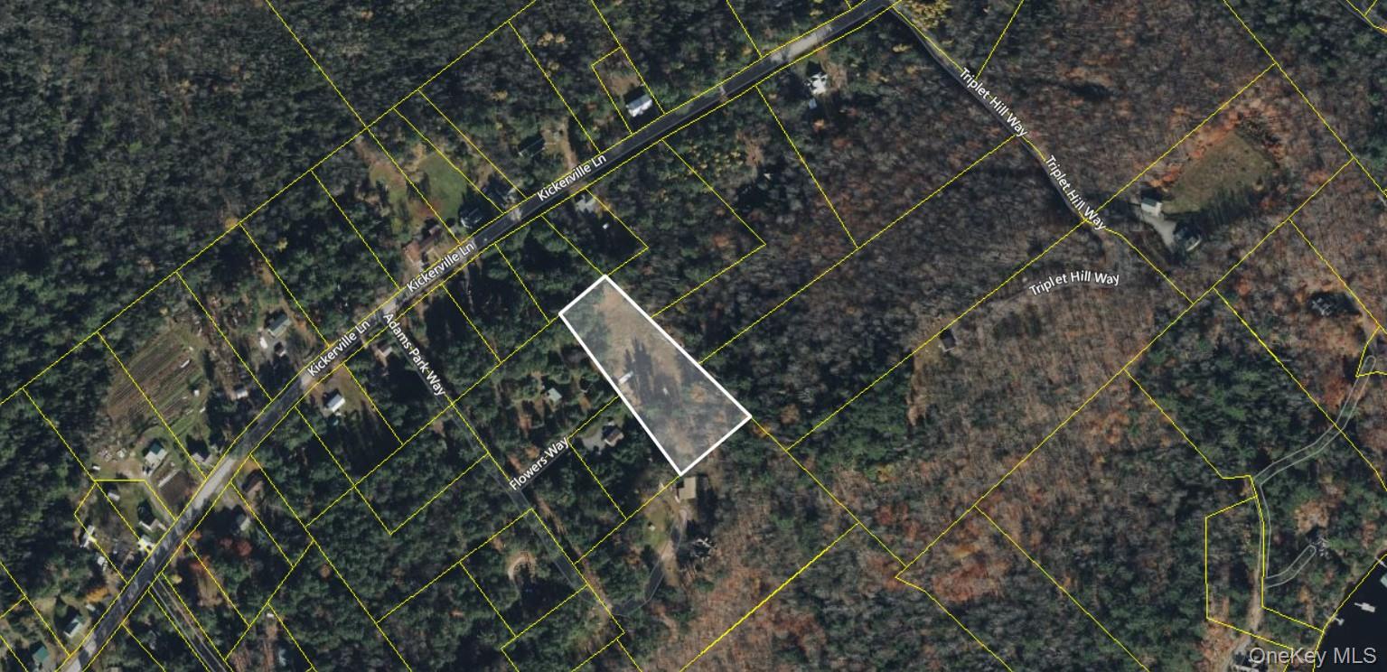 L39 Off Flowers Way, Call Listing Agent, NY 12847