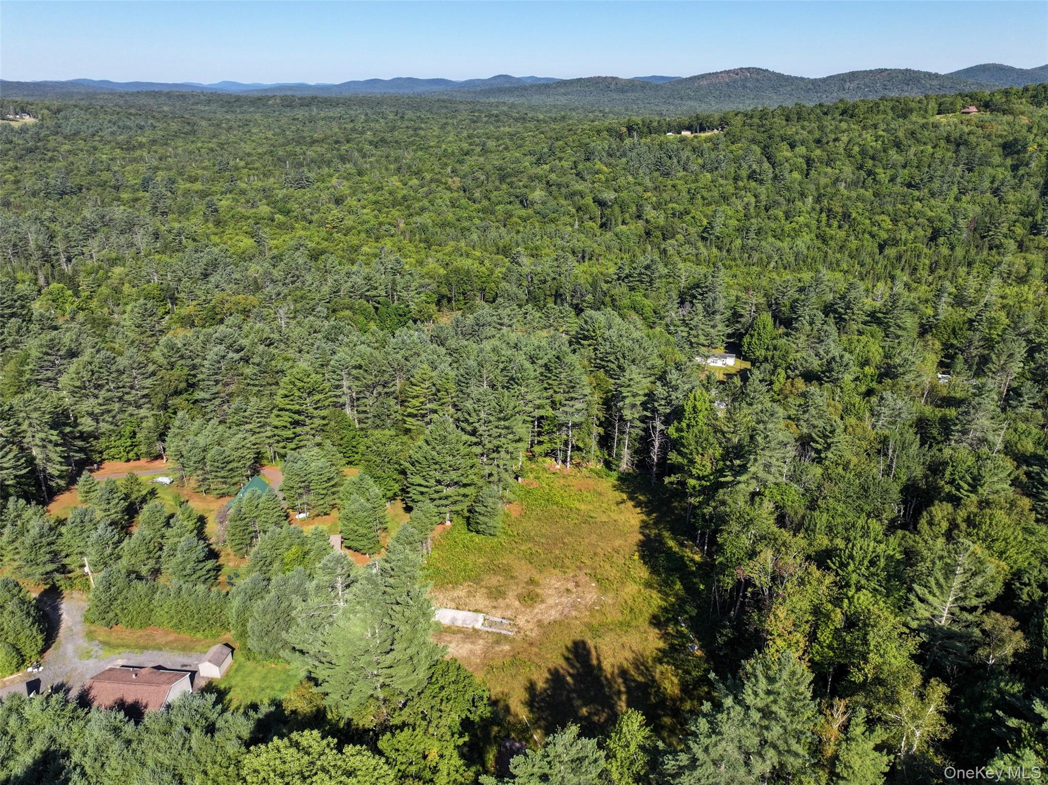 L39 Off Flowers Way, Call Listing Agent, NY 12847