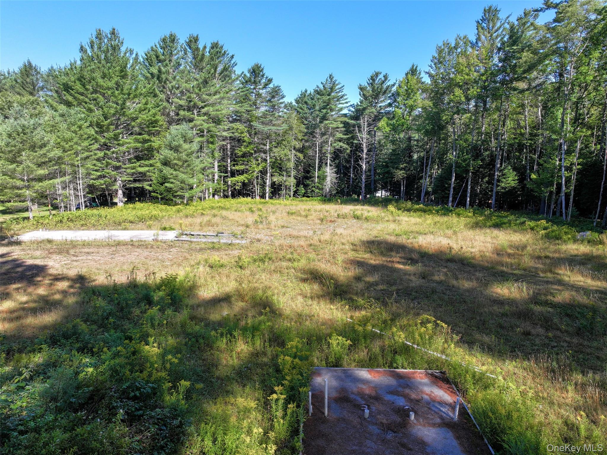 L39 Off Flowers Way, Call Listing Agent, NY 12847