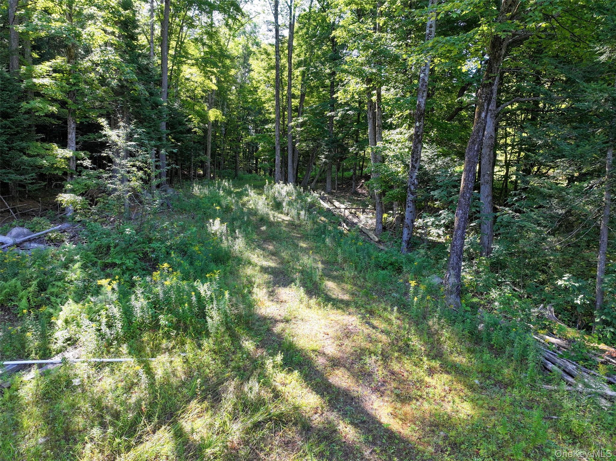 L39 Off Flowers Way, Call Listing Agent, NY 12847