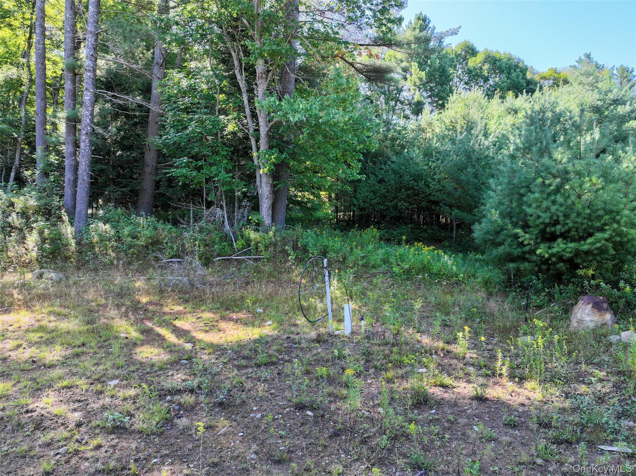 L39 Off Flowers Way, Call Listing Agent, NY 12847