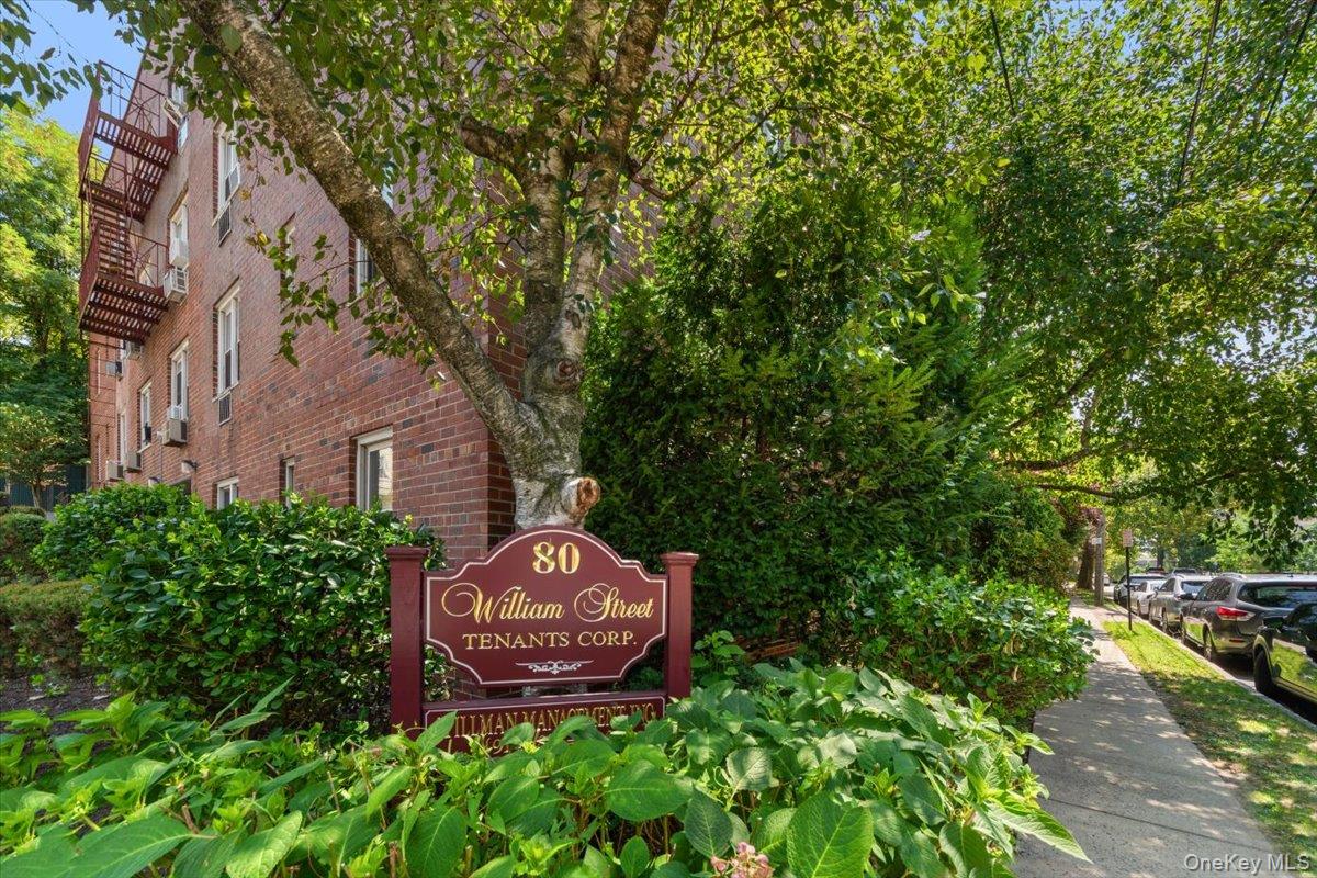 80 William Street # 3E, Mount Vernon, NY 10552