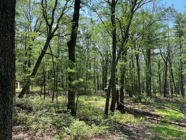 Lot 7 Sunflower Drive, Glen Spey, NY 12737
