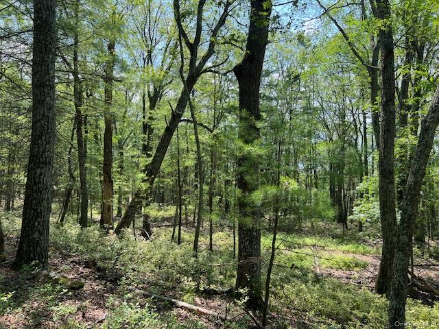 Lot 7 Sunflower Drive, Glen Spey, NY 12737