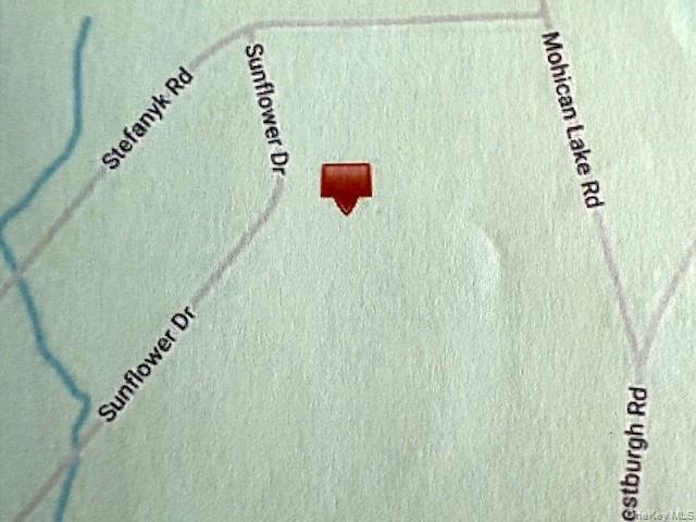 Lot 7 Sunflower Drive, Glen Spey, NY 12737