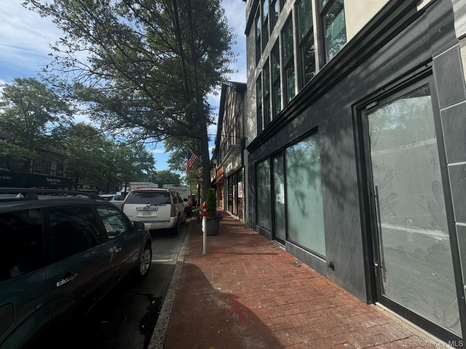 65 Middle Neck Road, Great Neck, NY 11021