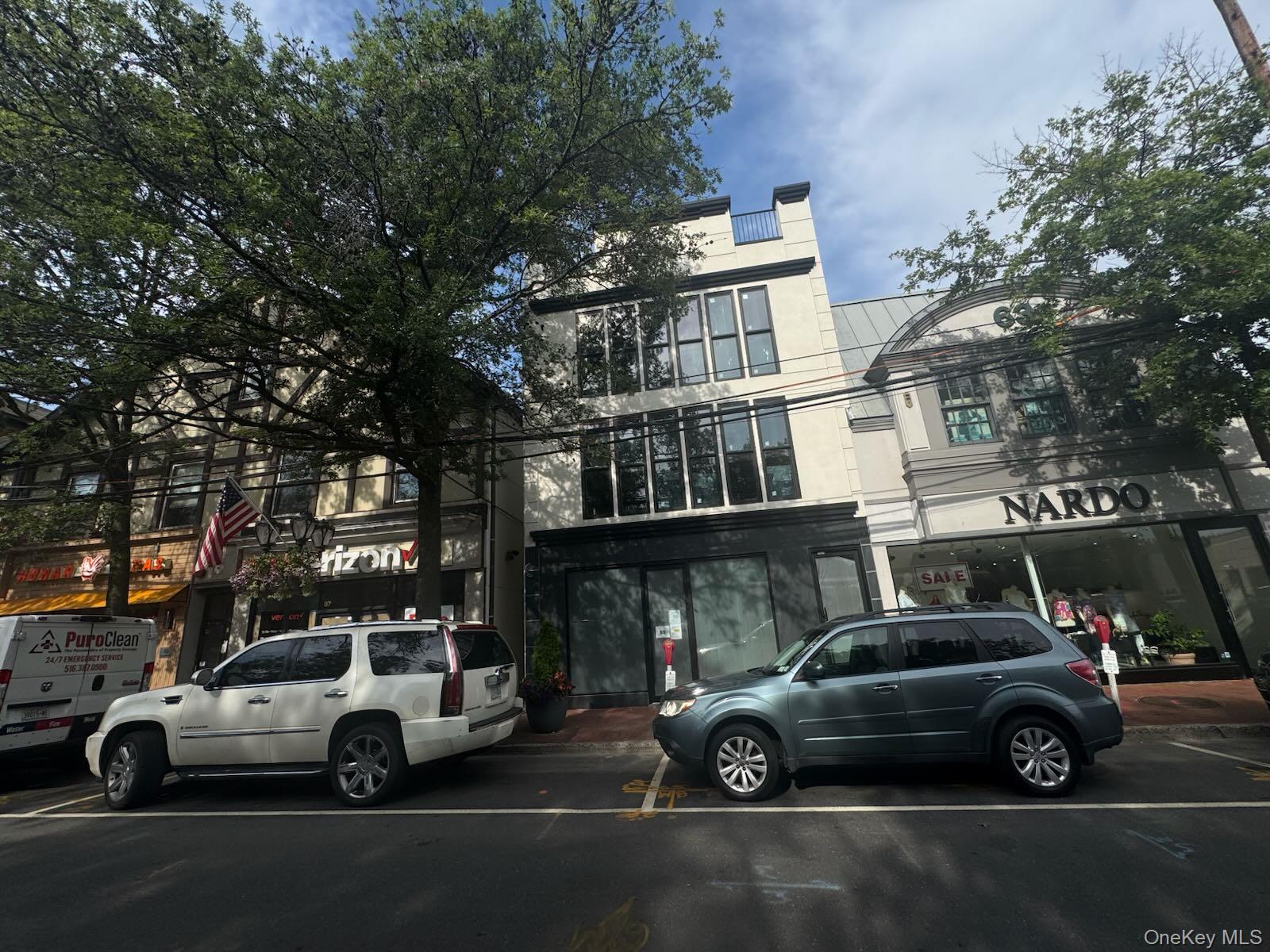 65 Middle Neck Road, Great Neck, NY 11021