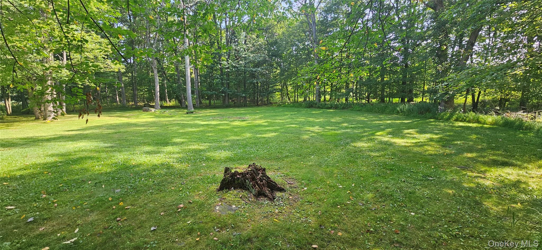 33 Sandra Lane, Monroe, NY 10950