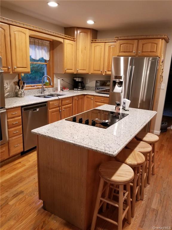 33 Sandra Lane, Monroe, NY 10950