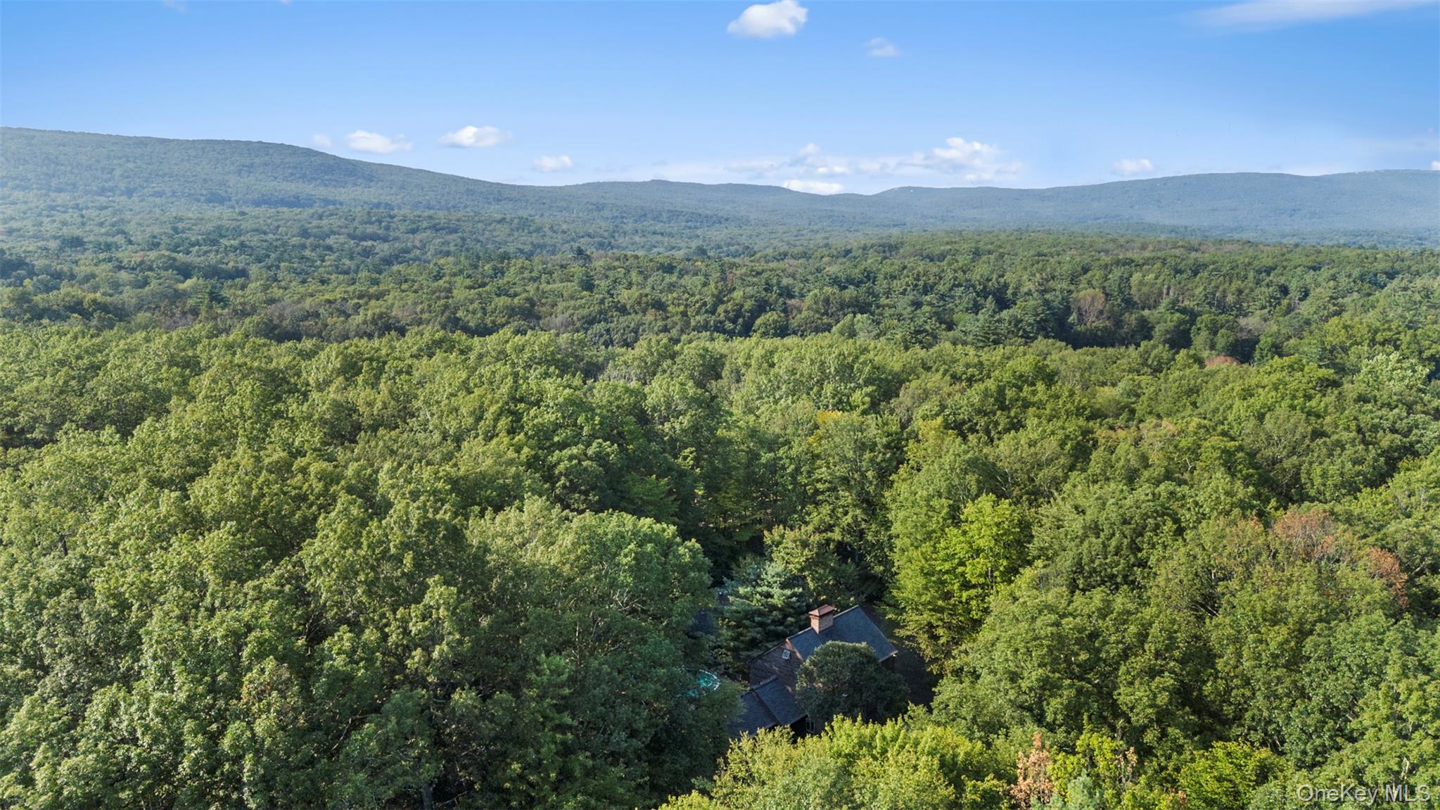 213 Ski Run Road, Bloomingburg, NY 12721