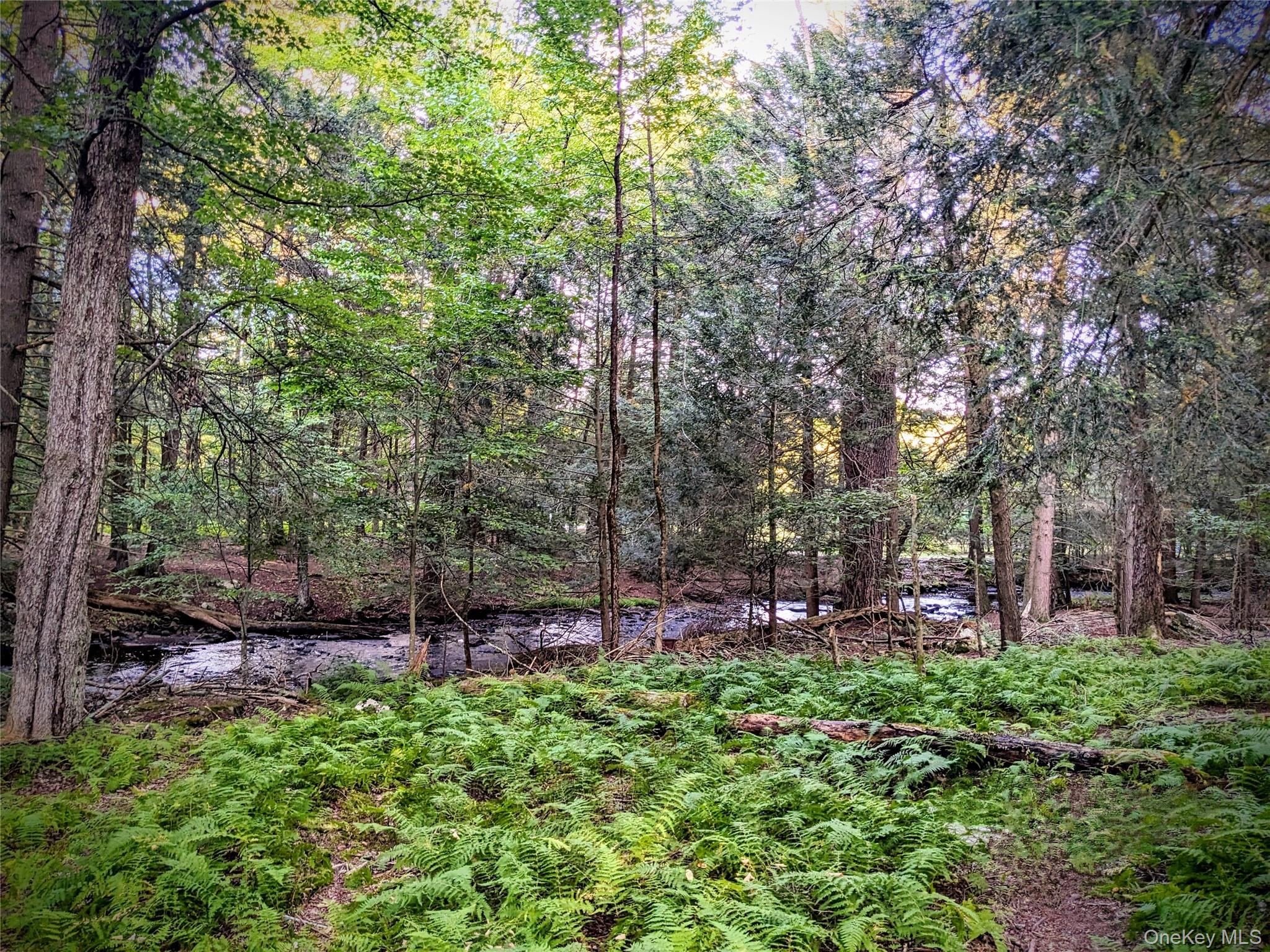 30 N Mohican Trail, Smallwood, NY 12778