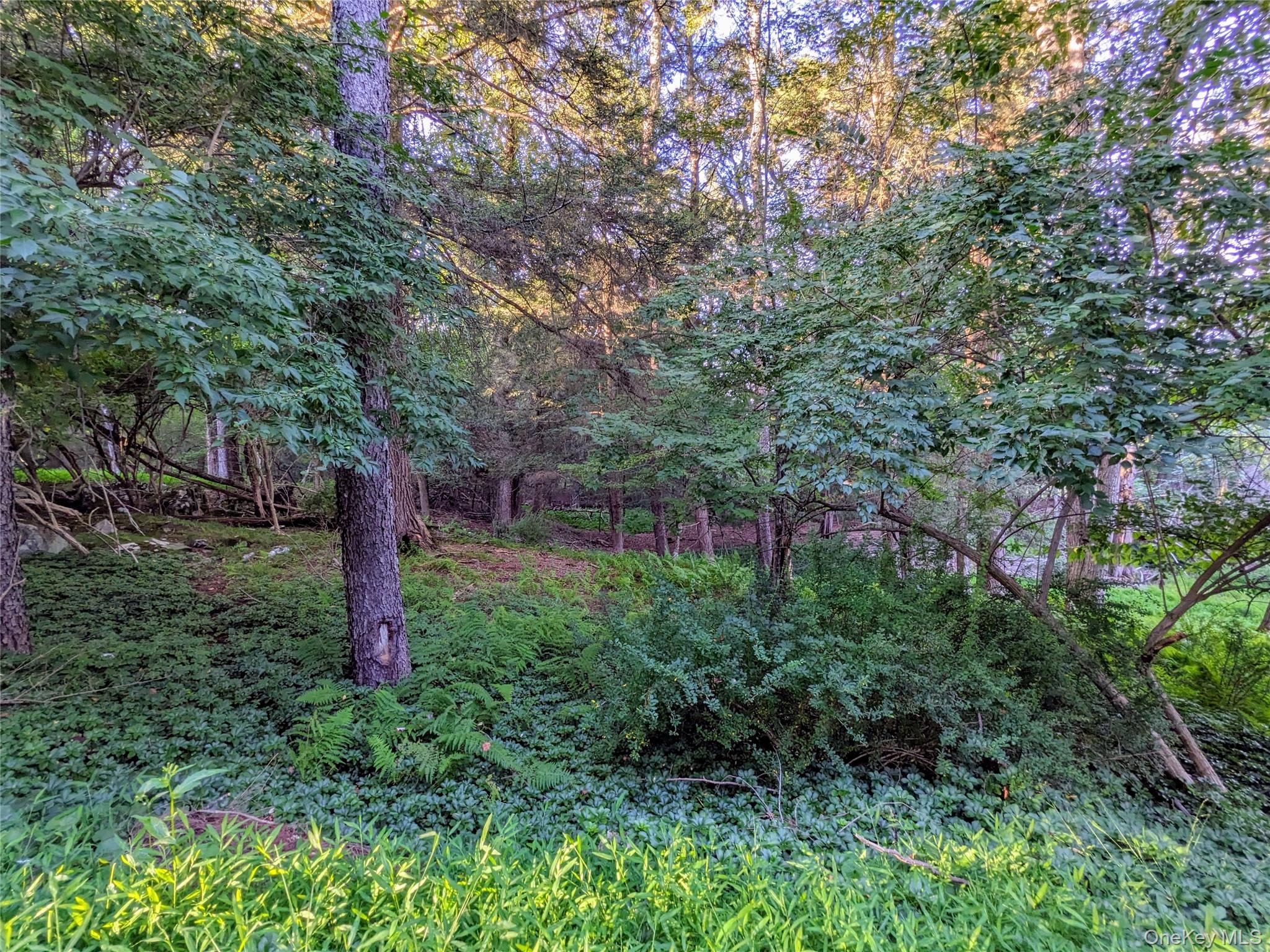 30 N Mohican Trail, Smallwood, NY 12778