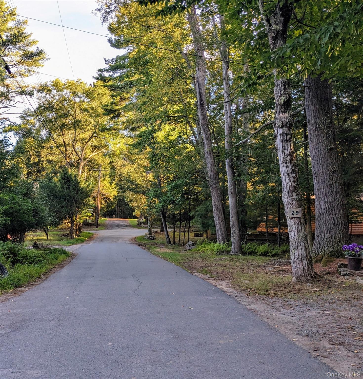 30 N Mohican Trail, Smallwood, NY 12778